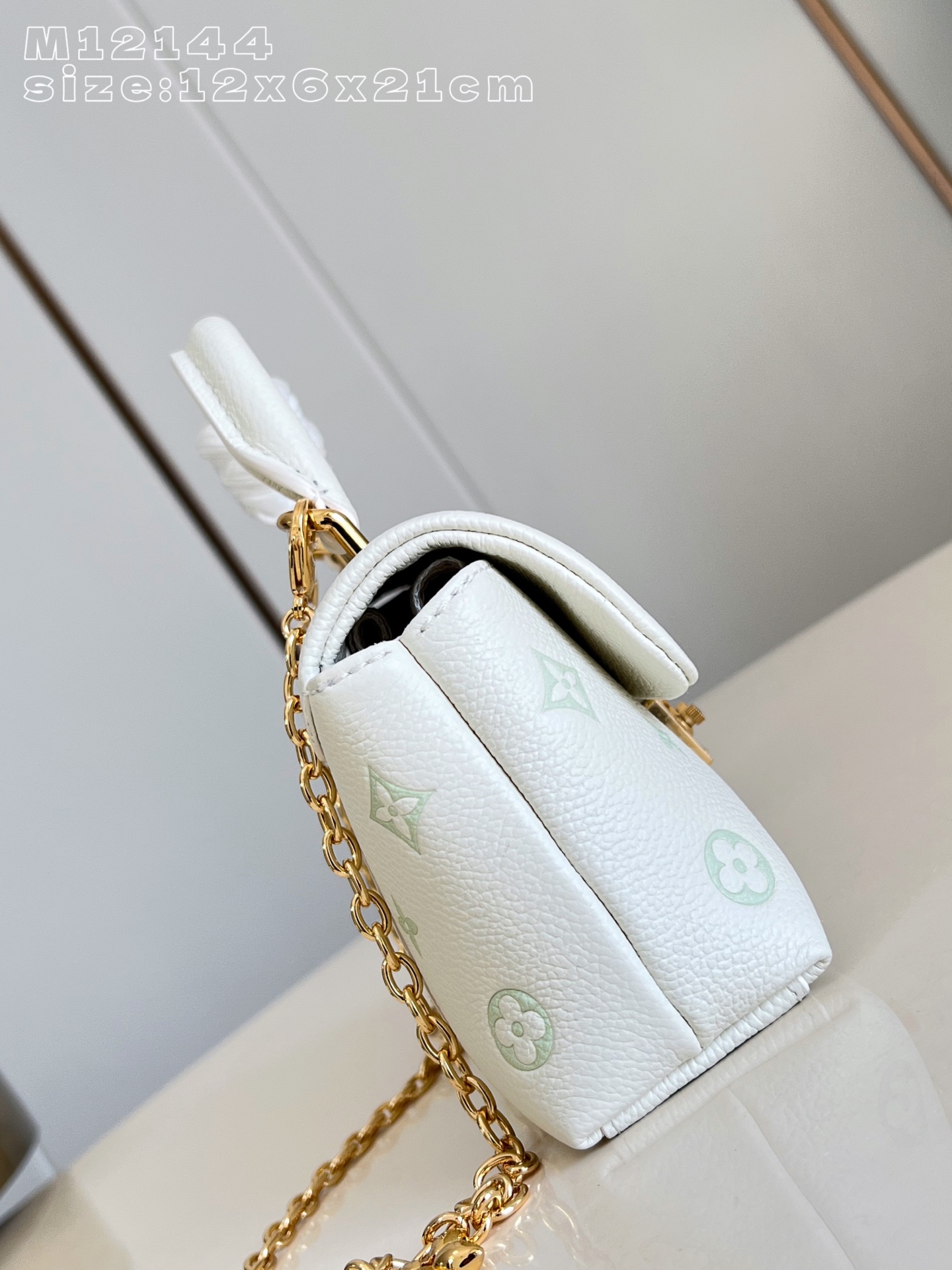 Louis Vuitton Basic Bag M-l-s