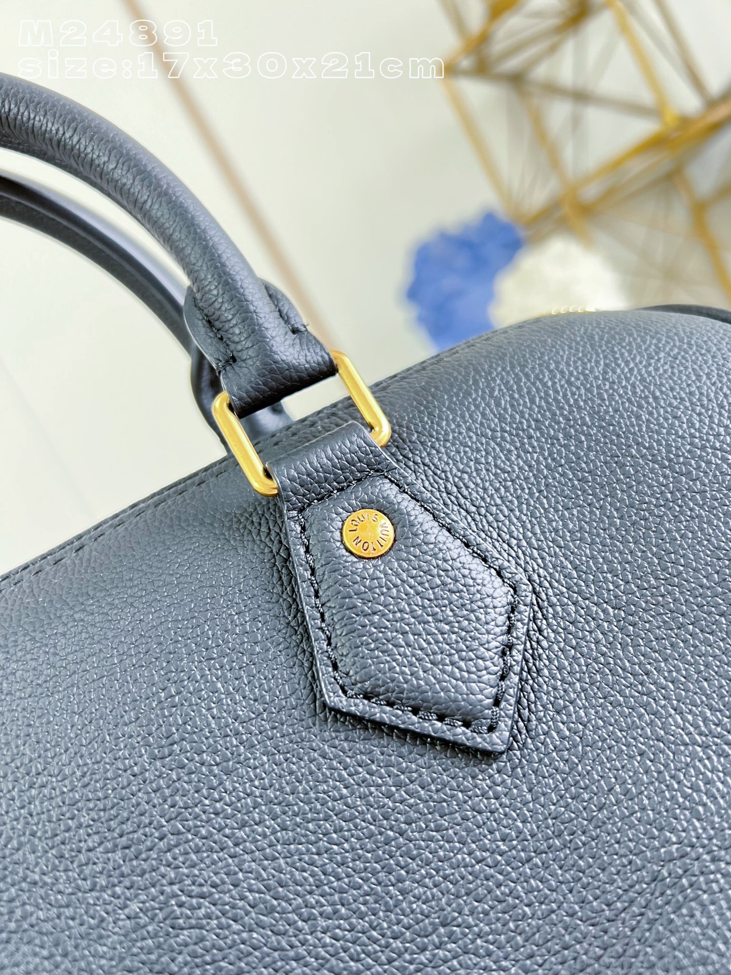 Louis Vuitton Basic Bag Cow Leather M-l-s