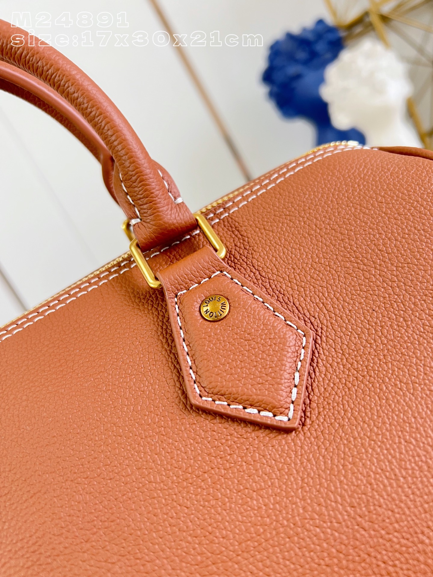 Louis Vuitton Basic Bag Cow Leather M-l-s