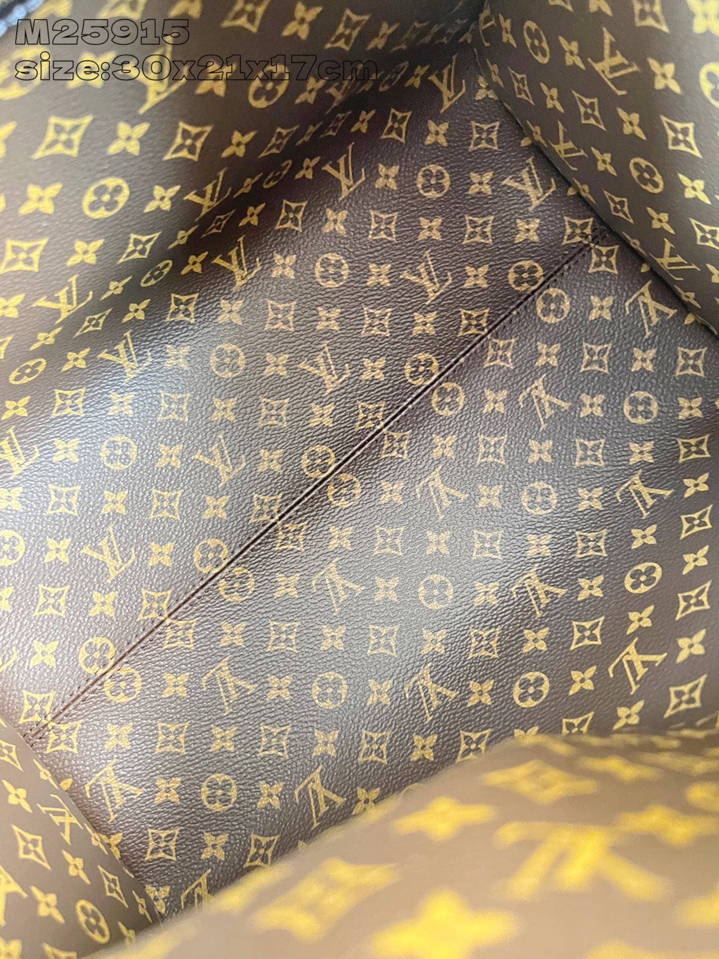 Louis Vuitton Basic Bag Canvas Gold M-s