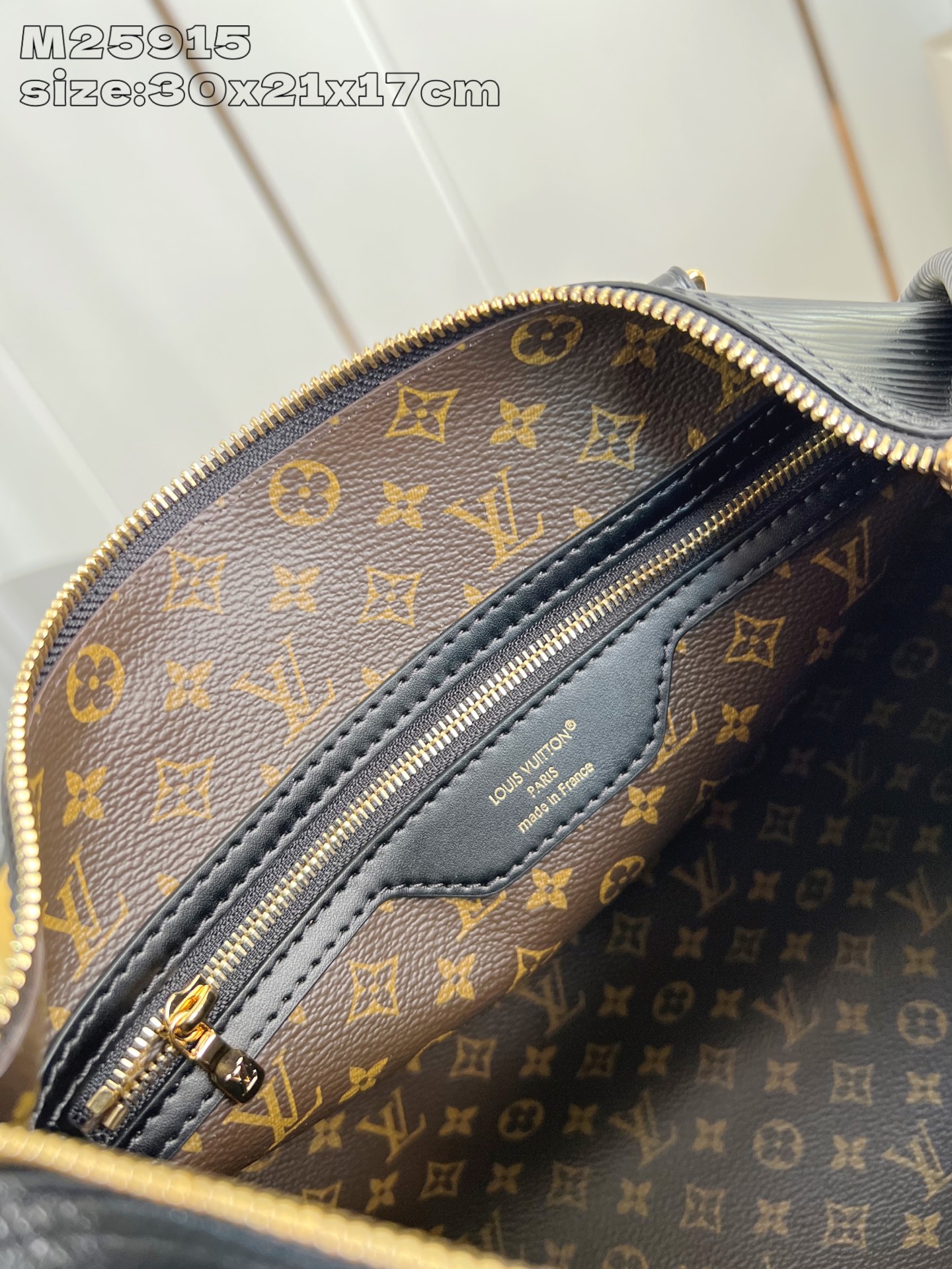 Louis Vuitton Basic Bag Canvas Gold M-s
