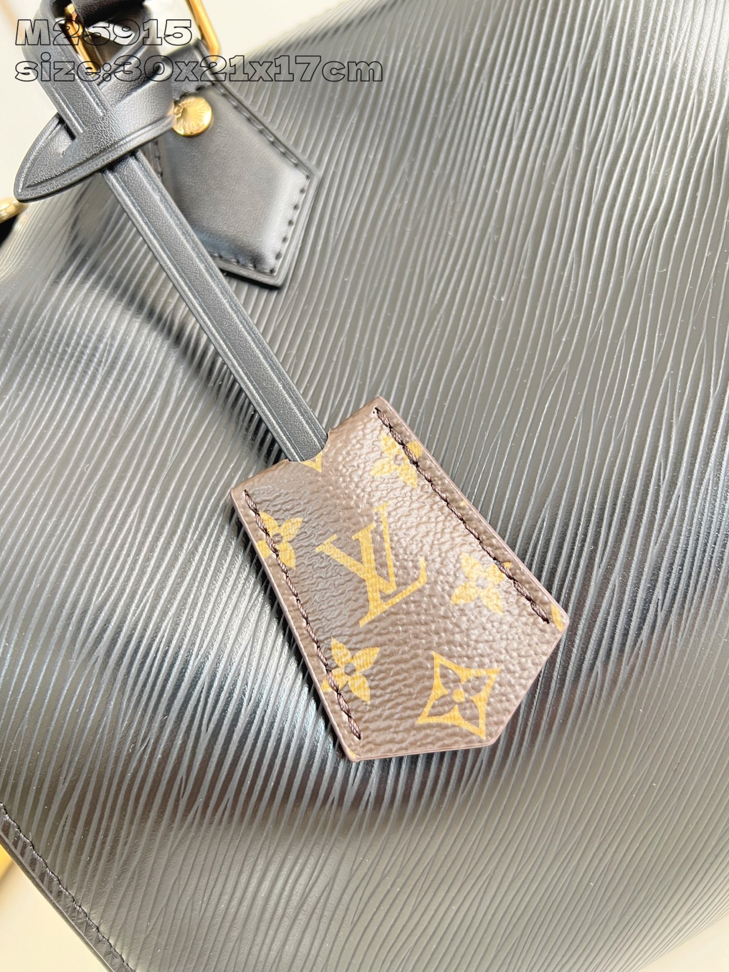 Louis Vuitton Basic Bag Canvas Gold M-s