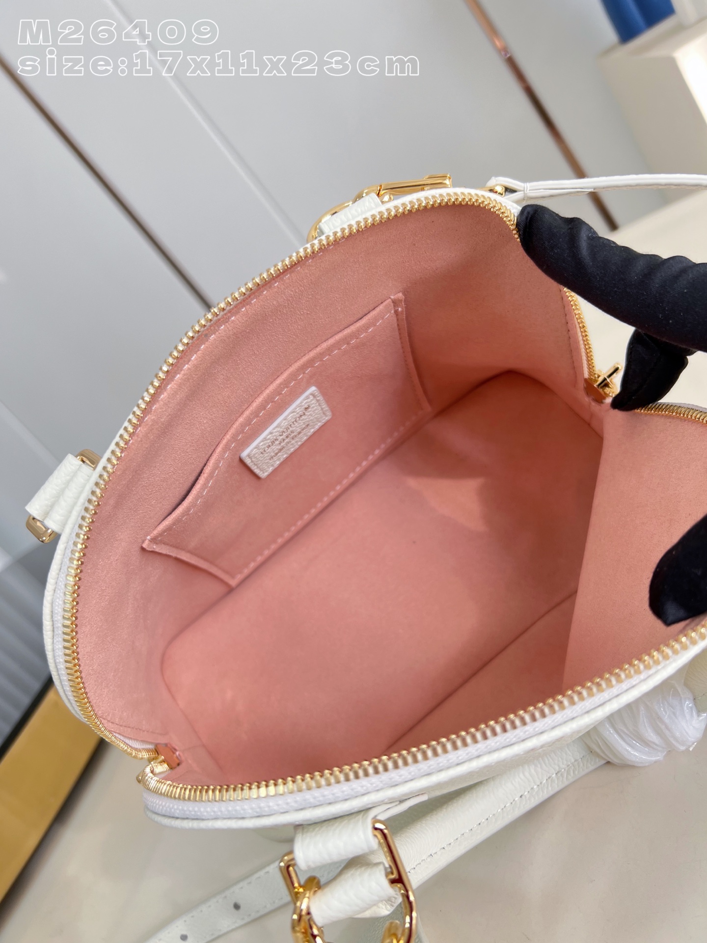 Louis Vuitton Basic Bag Canvas M-l