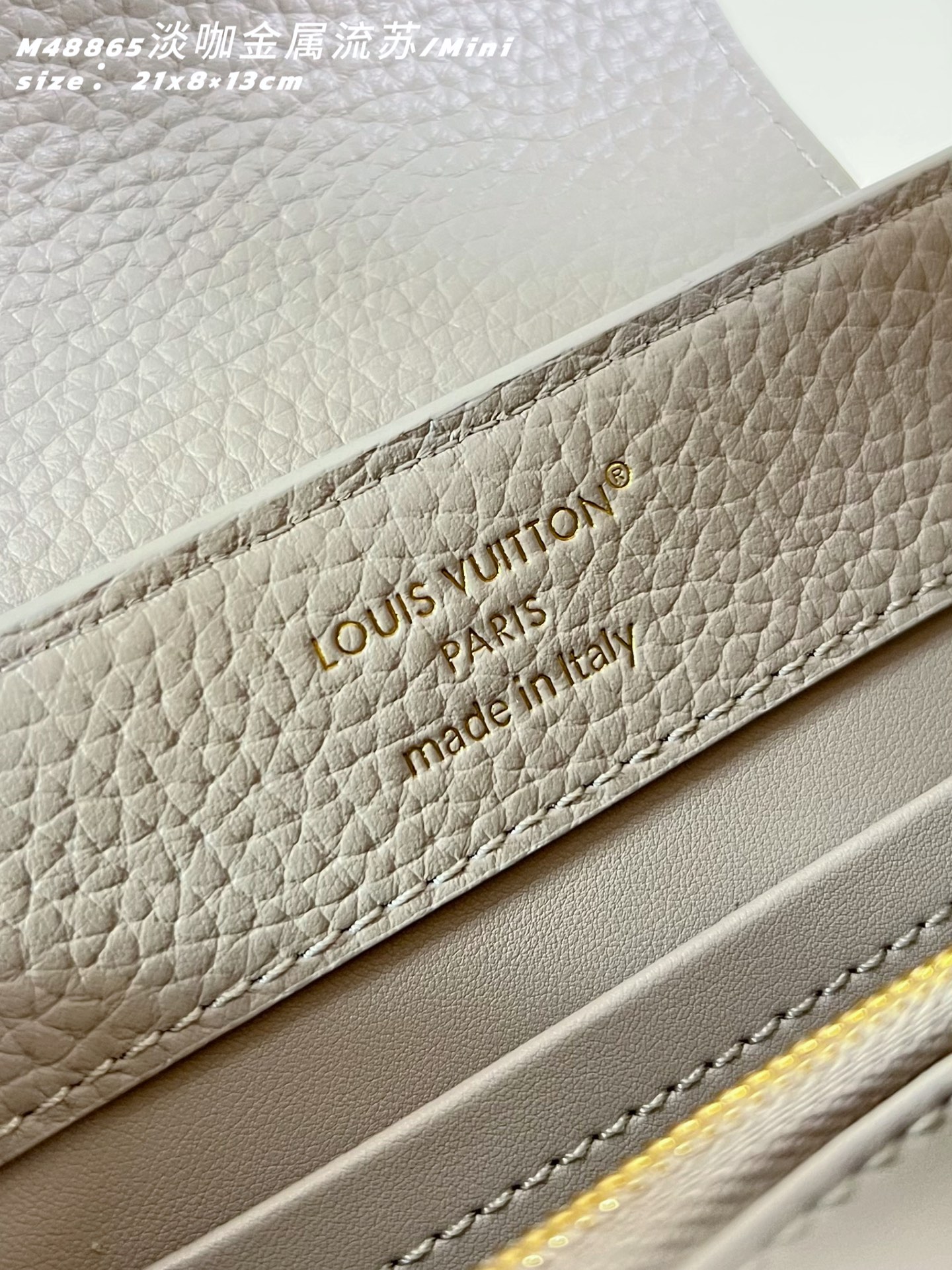 Louis Vuitton Basic Bag Cow Leather M-l-s