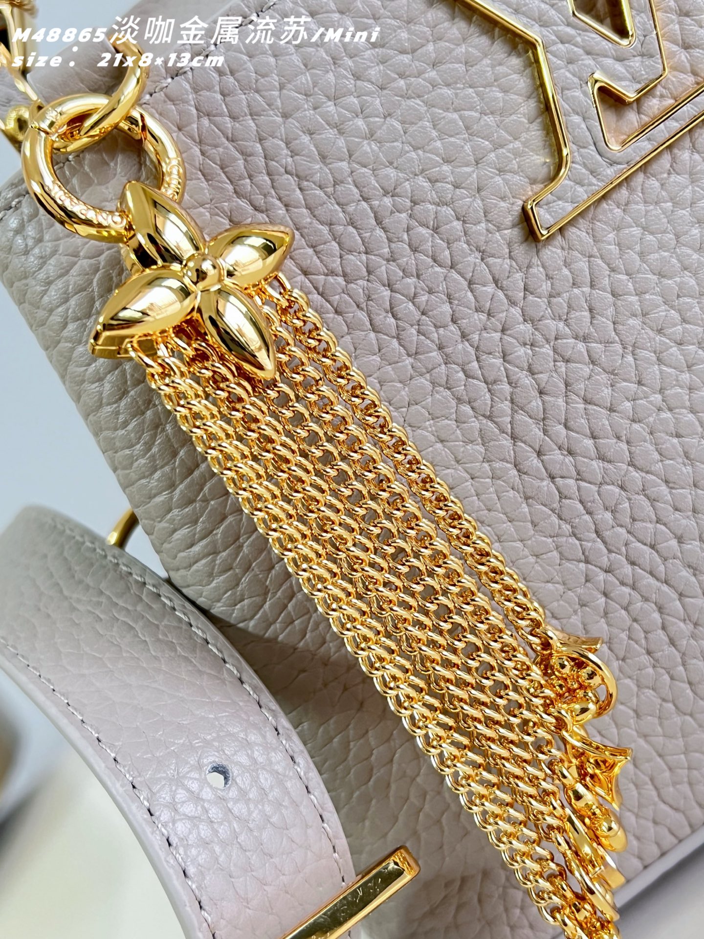 Louis Vuitton Basic Bag Cow Leather M-l-s