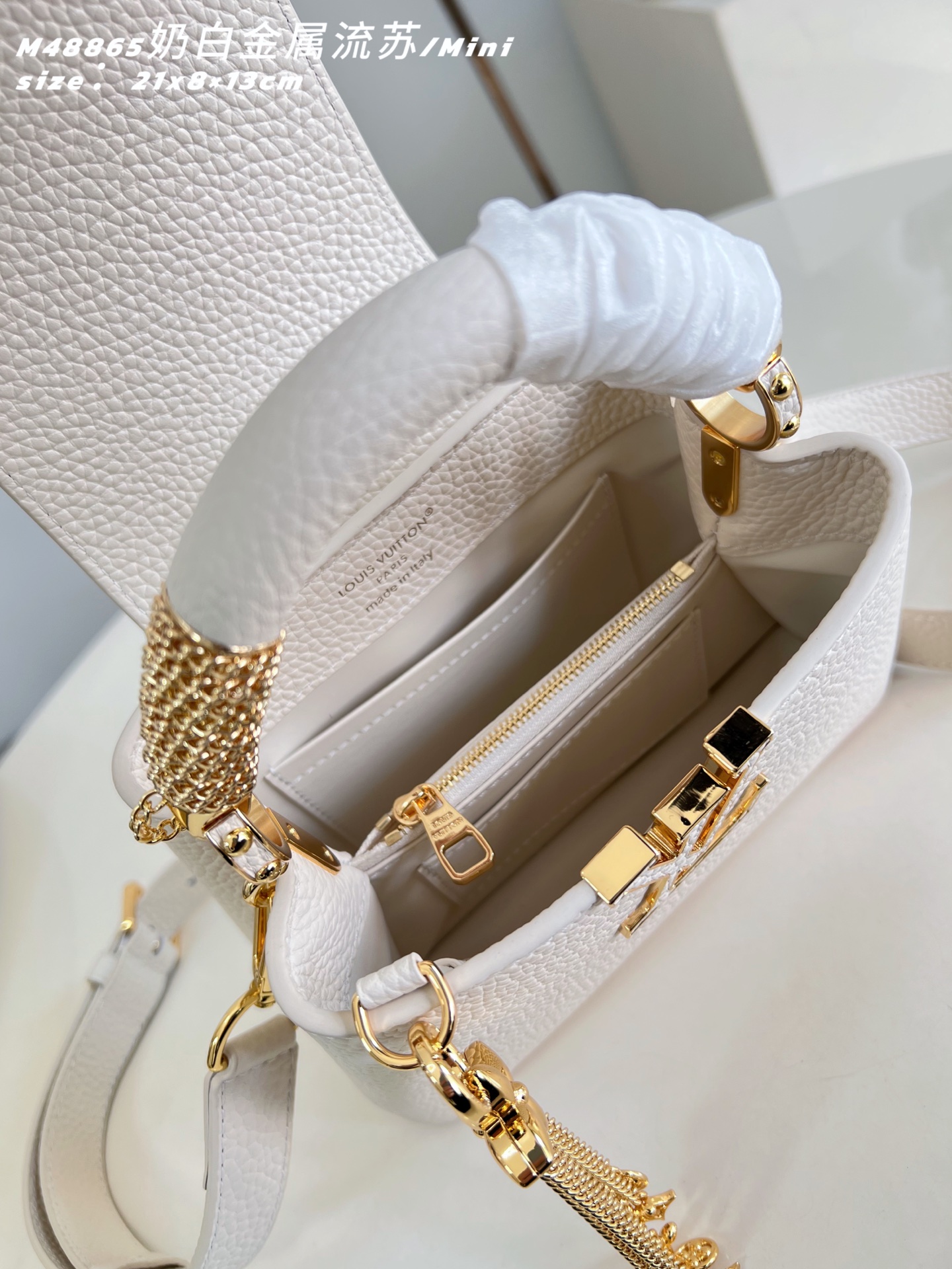 Louis Vuitton Basic Bag Cow Leather M-l-s