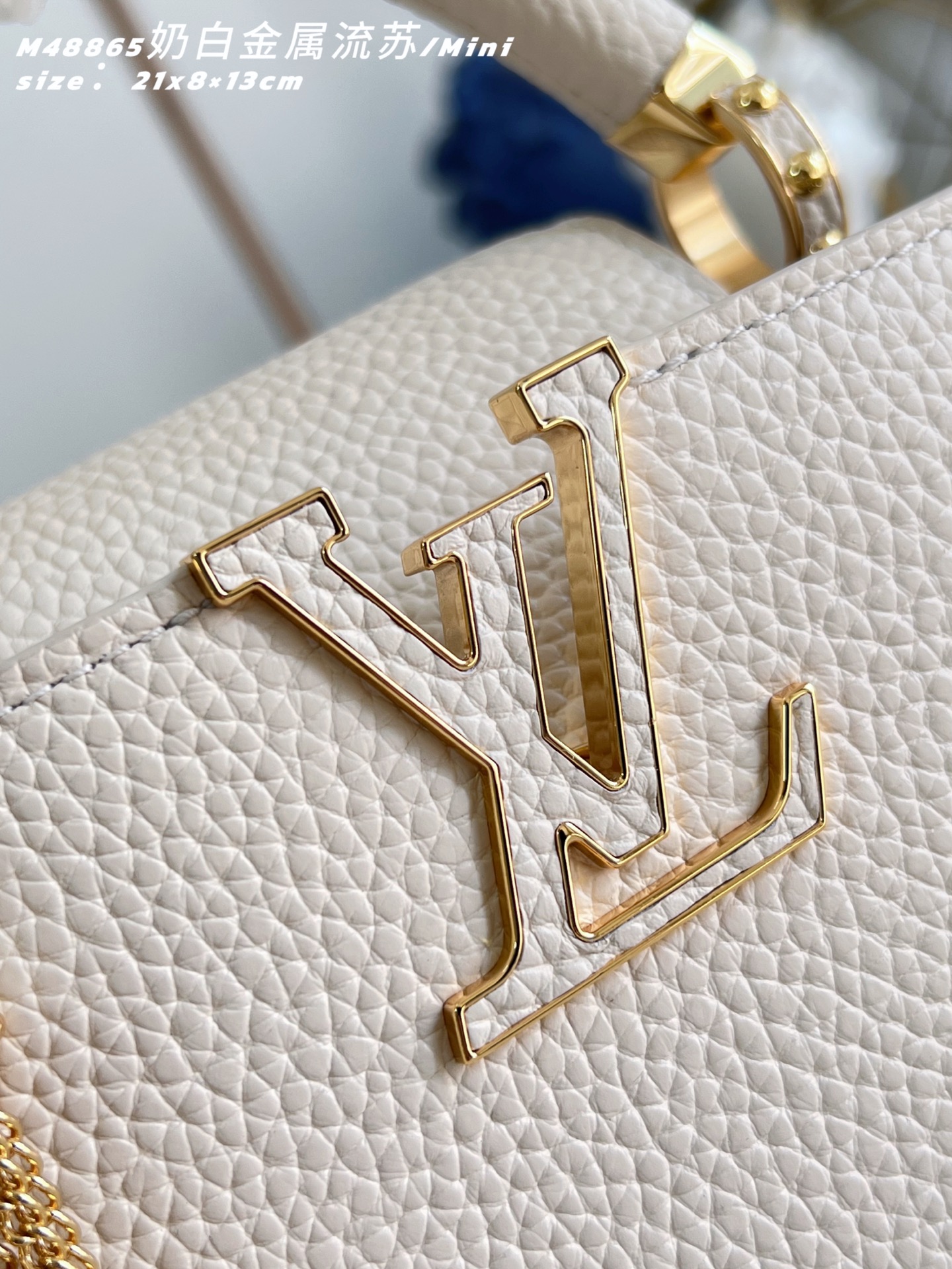 Louis Vuitton Basic Bag Cow Leather M-l-s