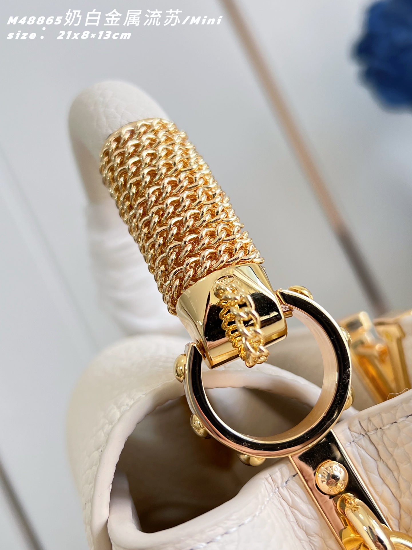 Louis Vuitton Basic Bag Cow Leather M-l-s