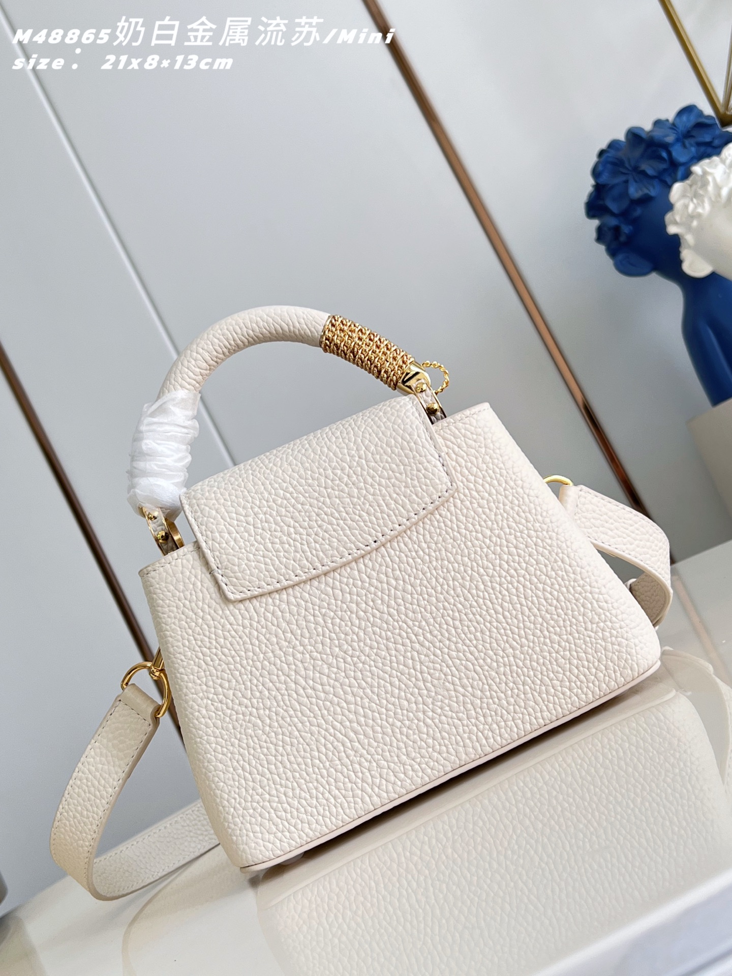 Louis Vuitton Basic Bag Cow Leather M-l-s