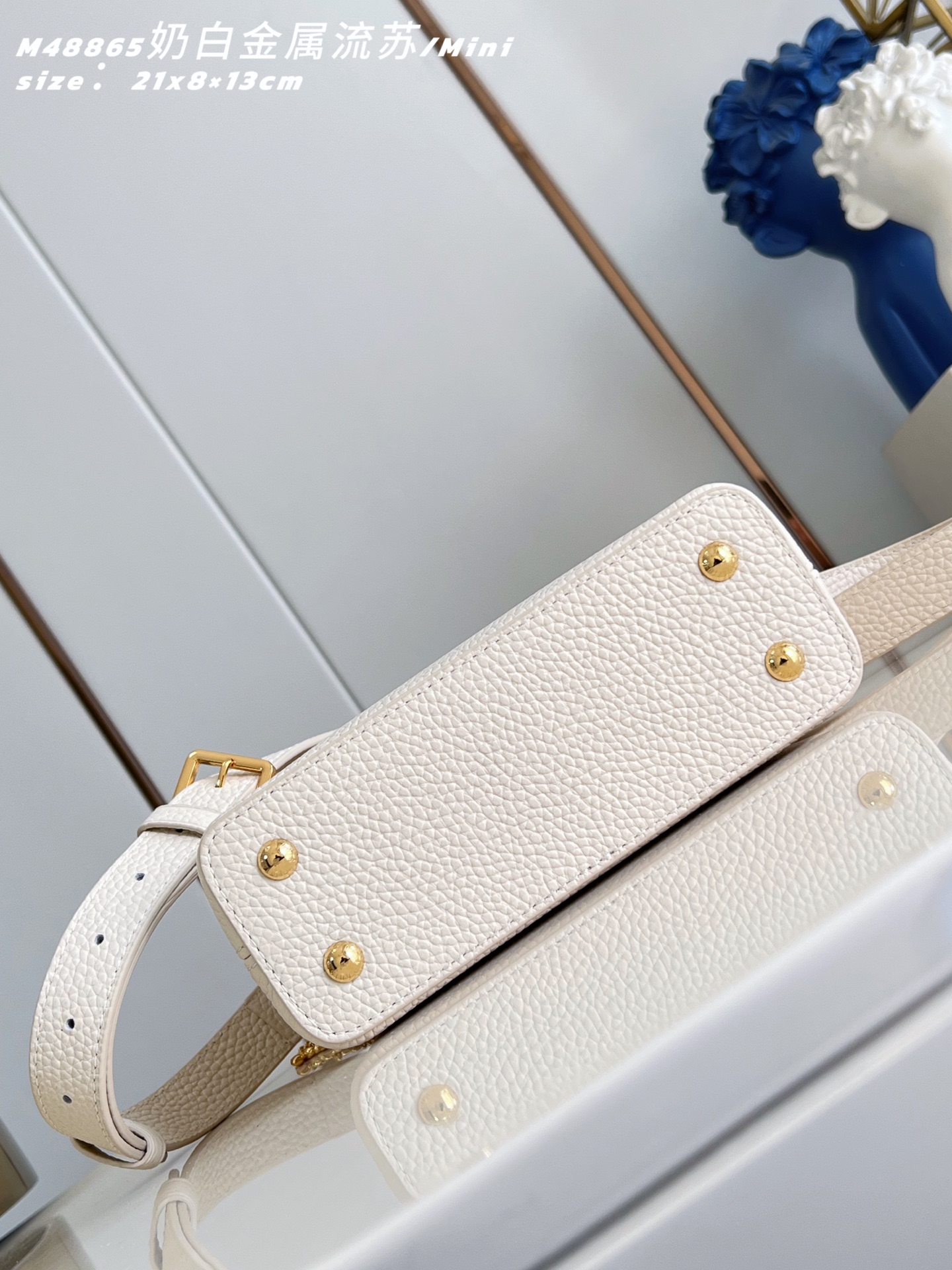 Louis Vuitton Basic Bag Cow Leather M-l-s