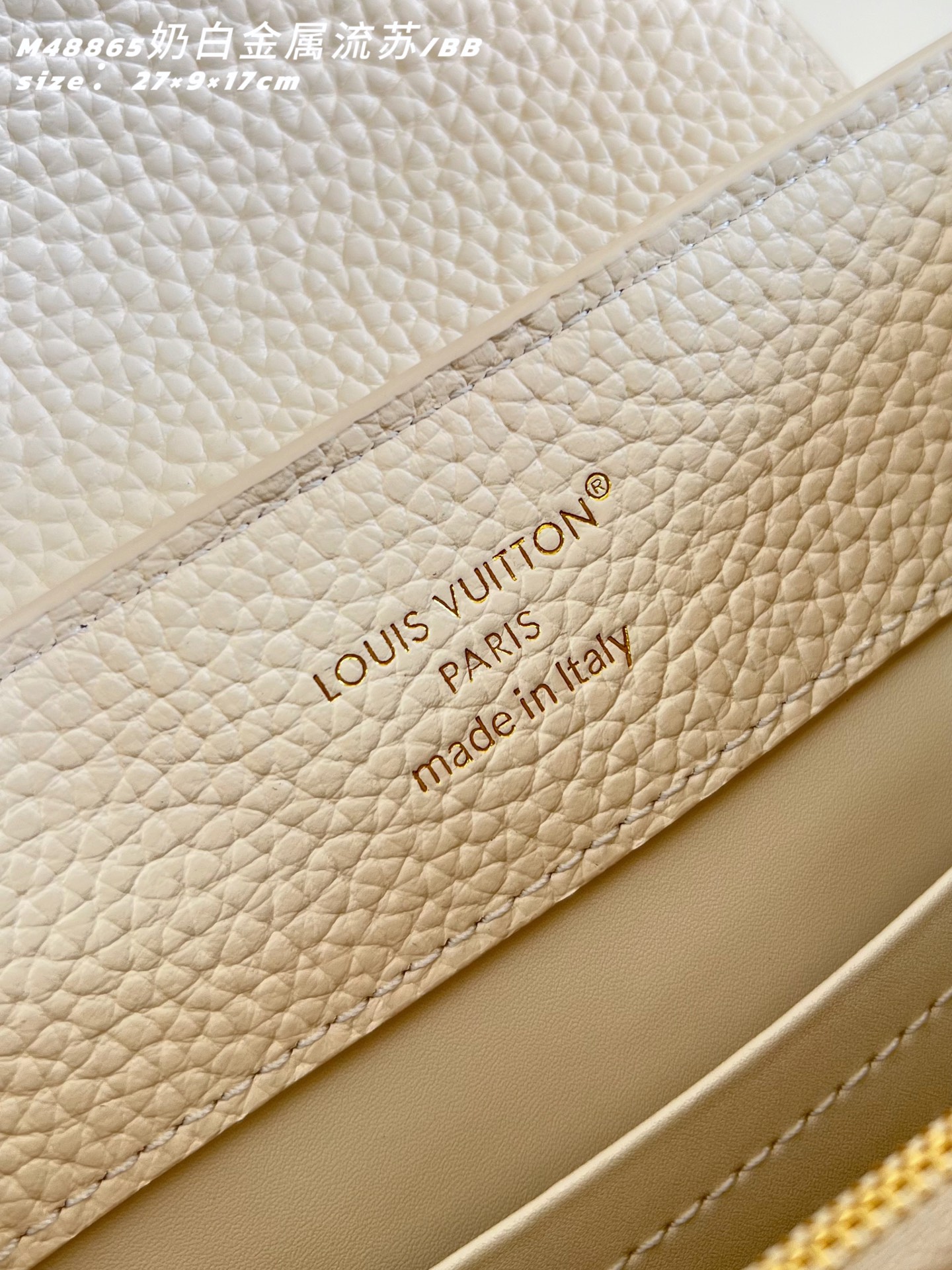 Louis Vuitton Basic Bag Cow Leather M-l-s