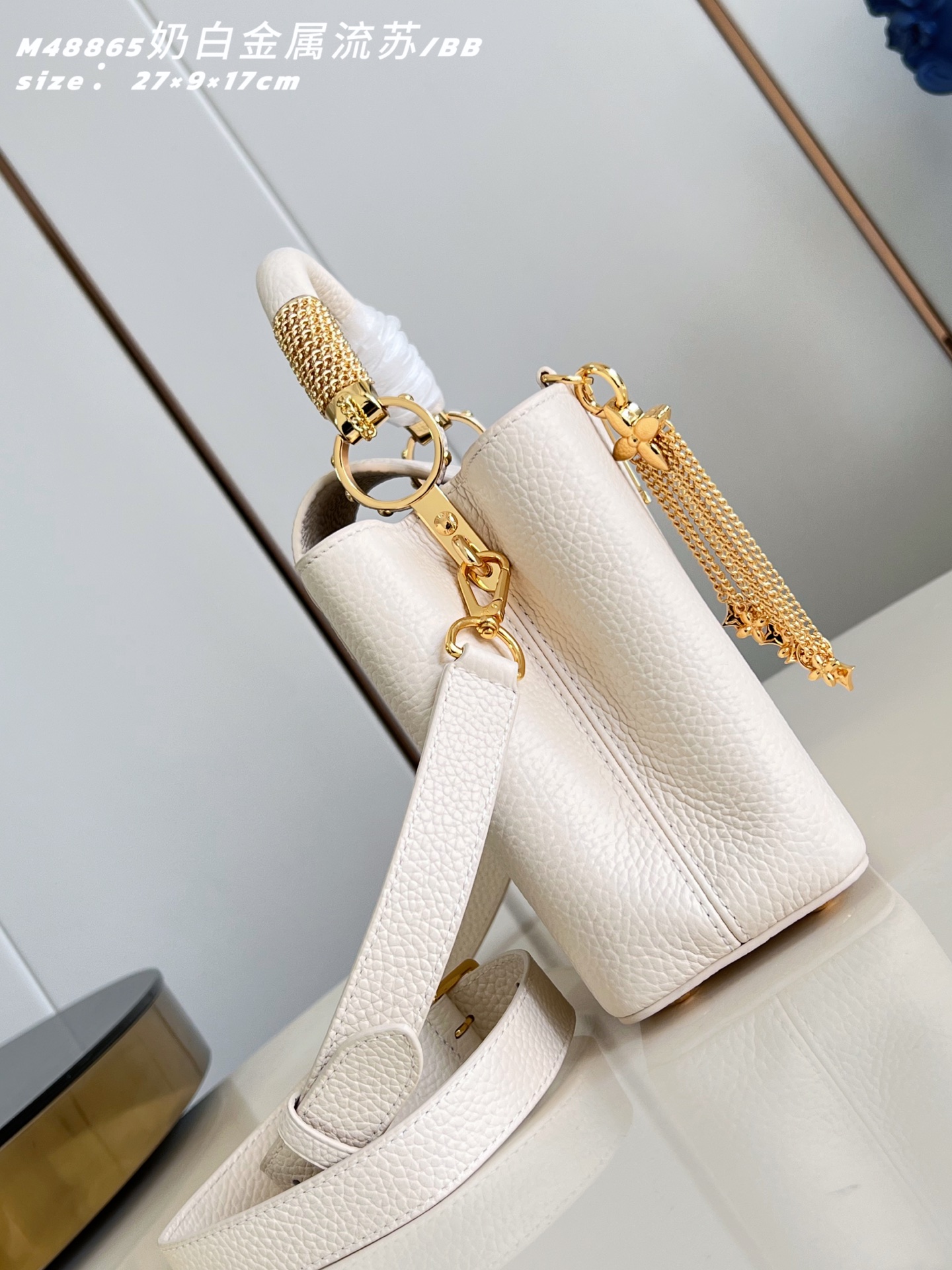 Louis Vuitton Basic Bag Cow Leather M-l-s