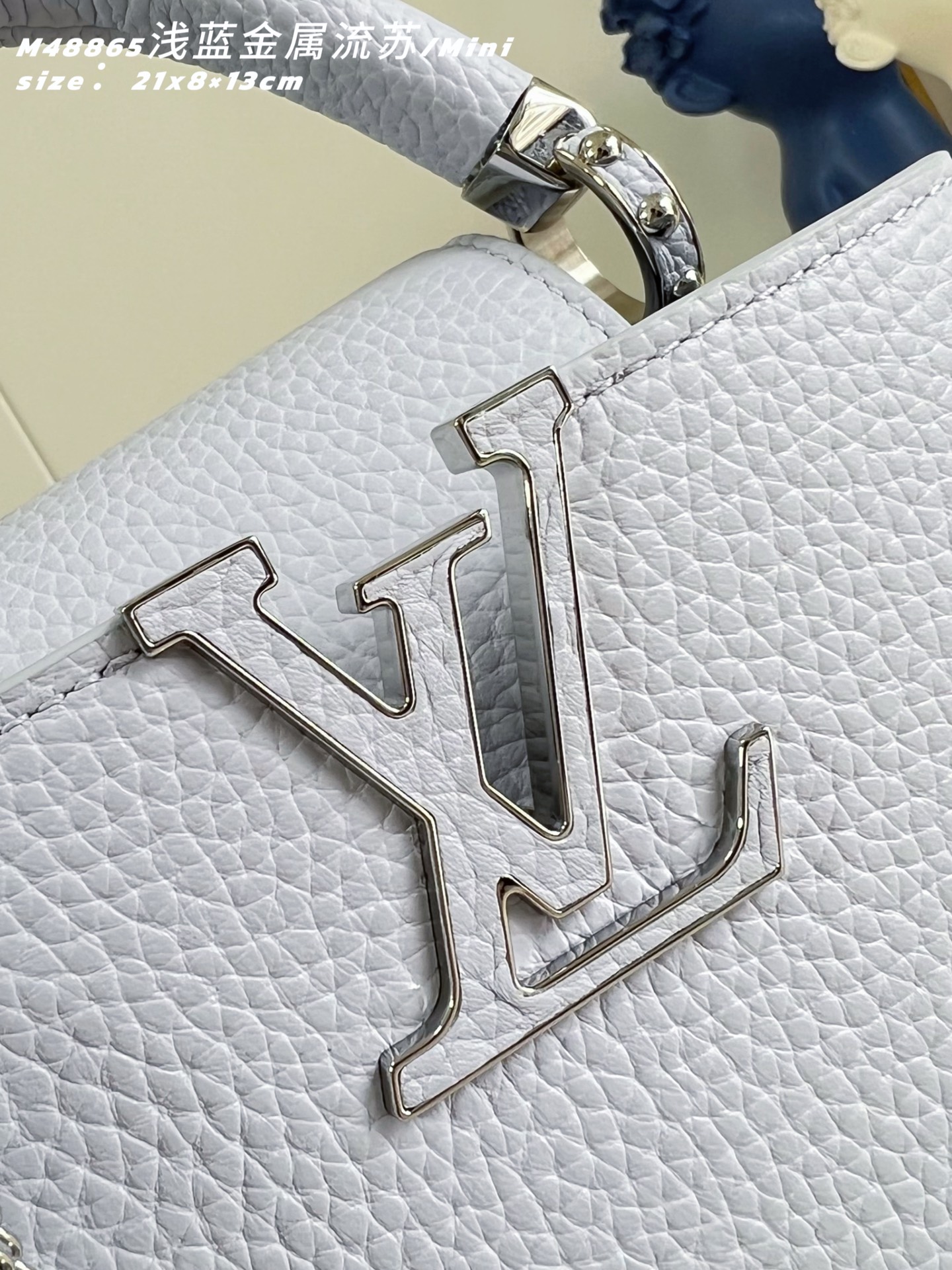 Louis Vuitton Basic Bag Cow Leather M-l-s
