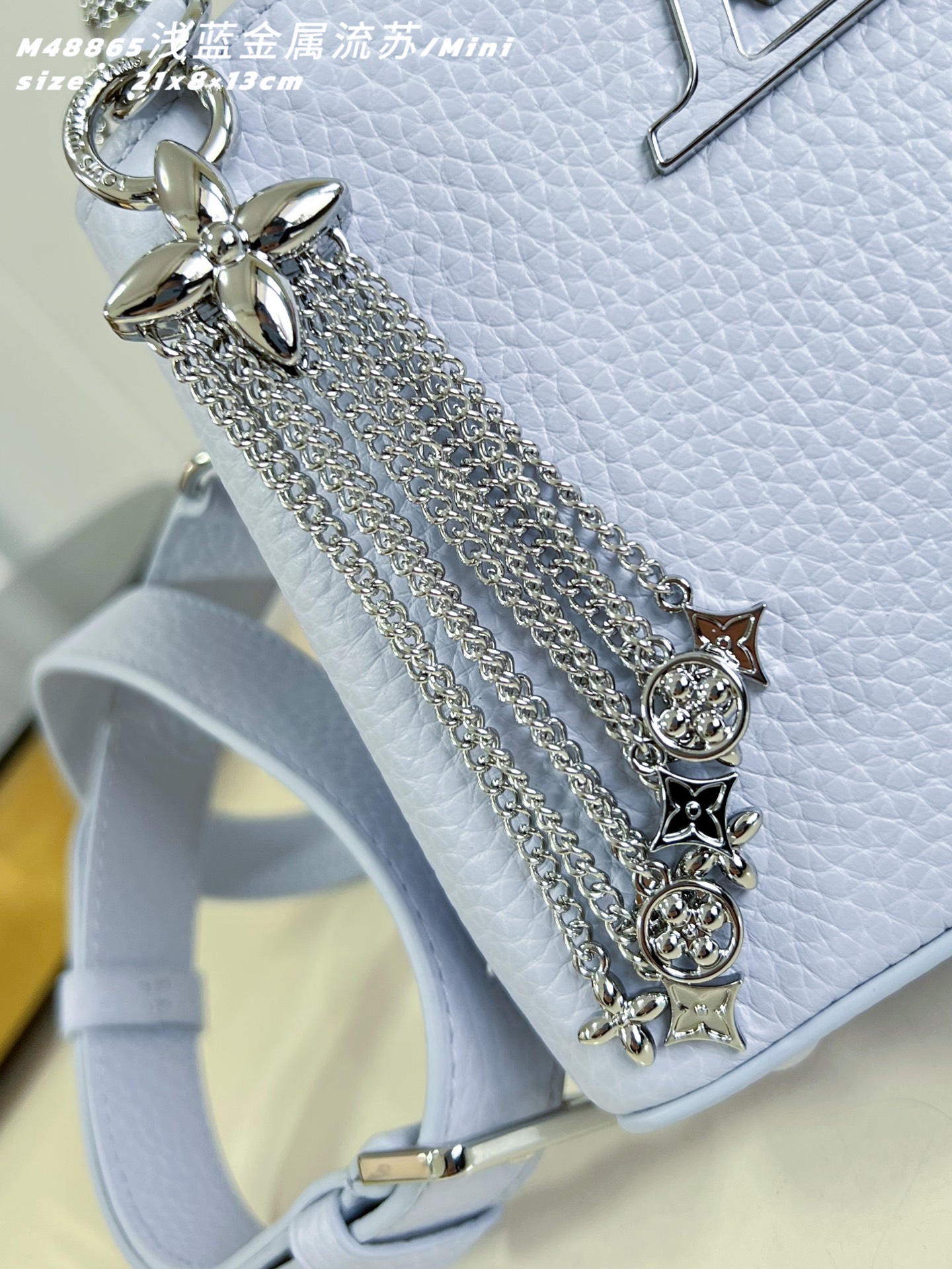 Louis Vuitton Basic Bag Cow Leather M-l-s