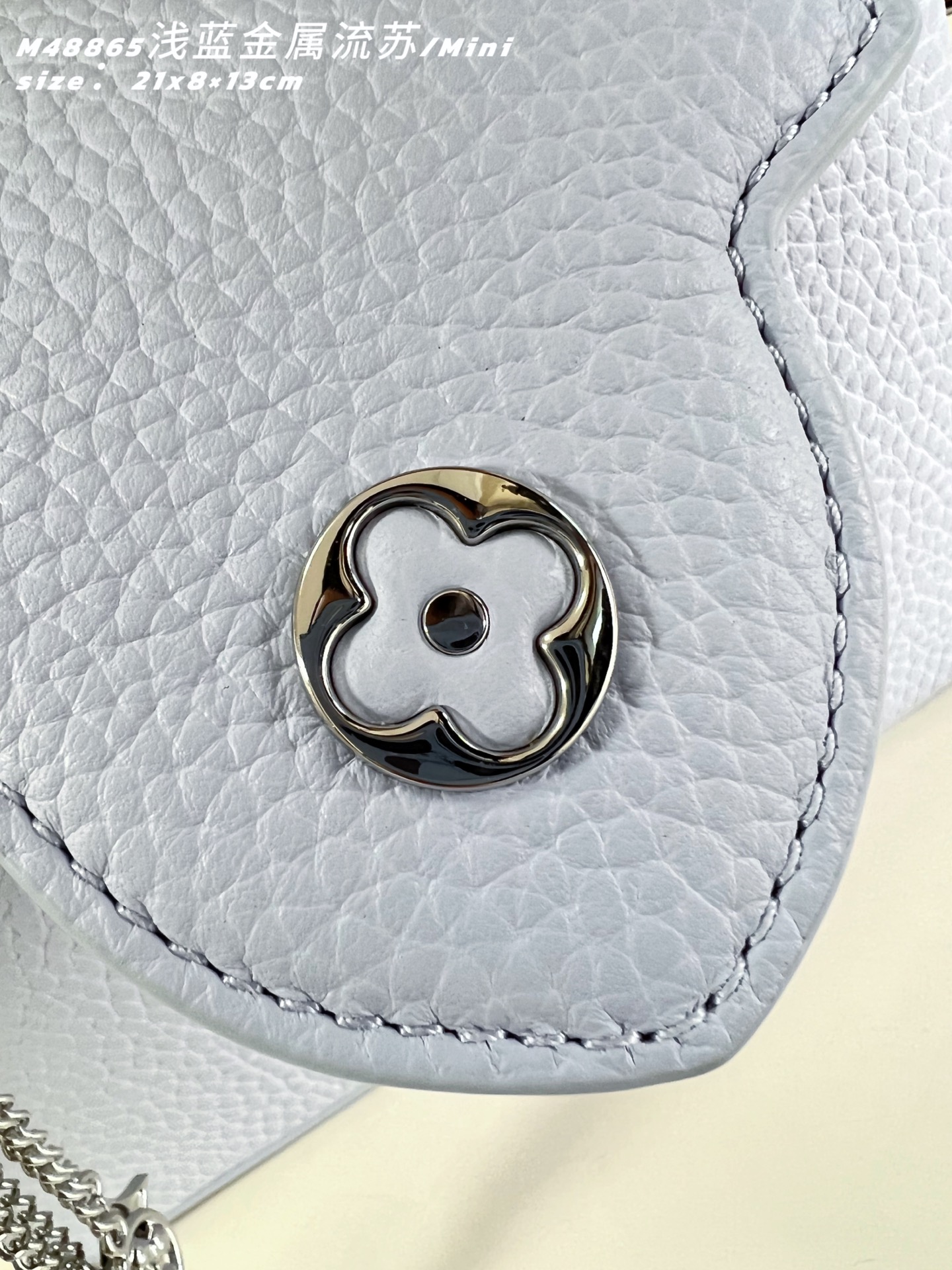 Louis Vuitton Basic Bag Cow Leather M-l-s