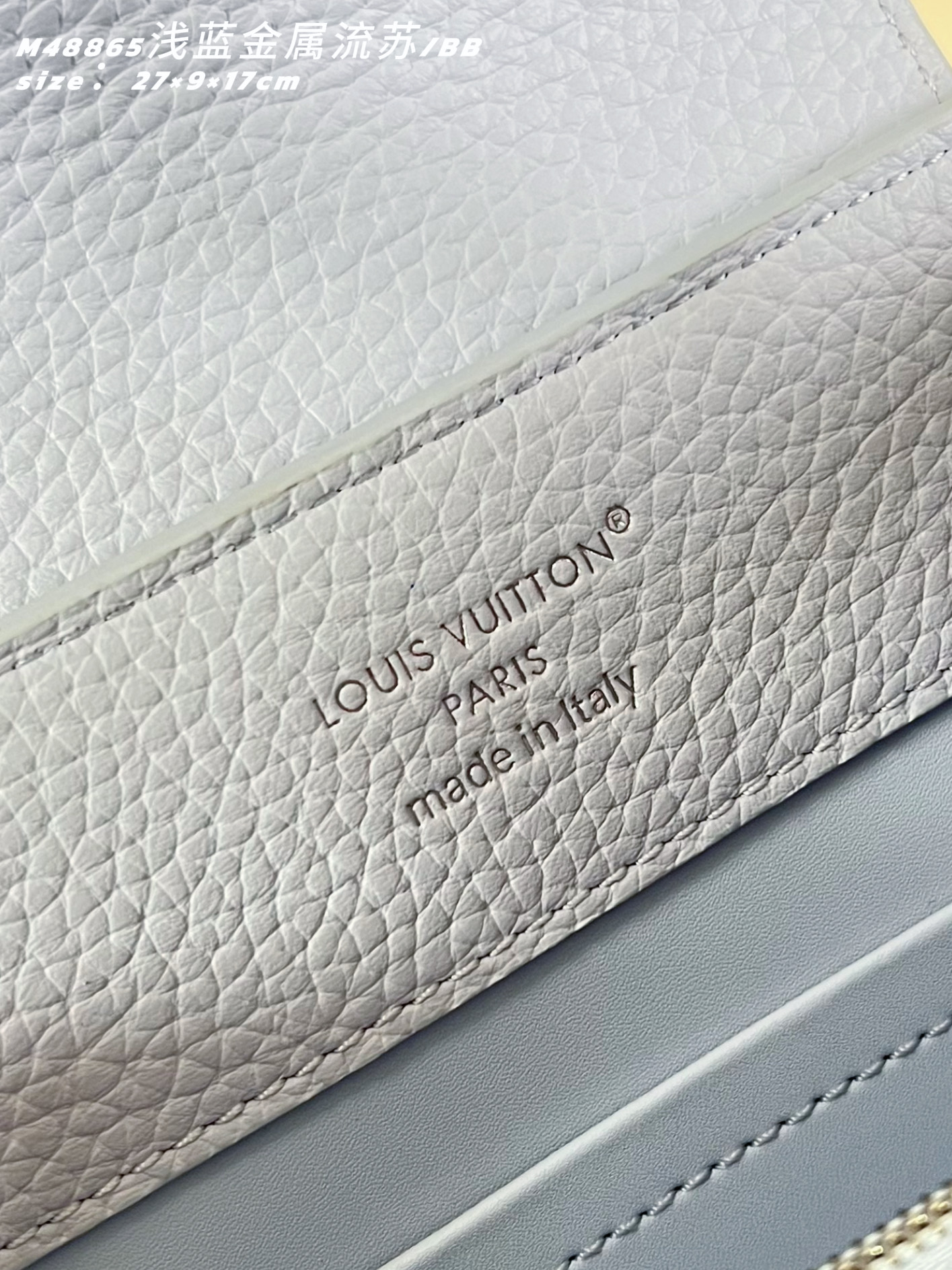 Louis Vuitton Basic Bag Cow Leather M-l-s