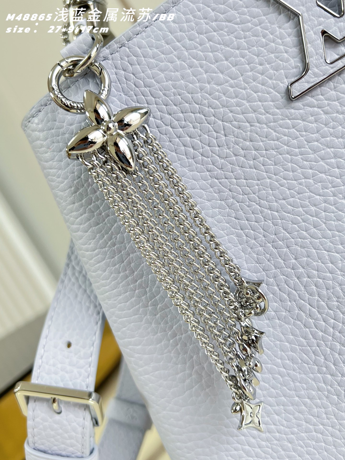 Louis Vuitton Basic Bag Cow Leather M-l-s