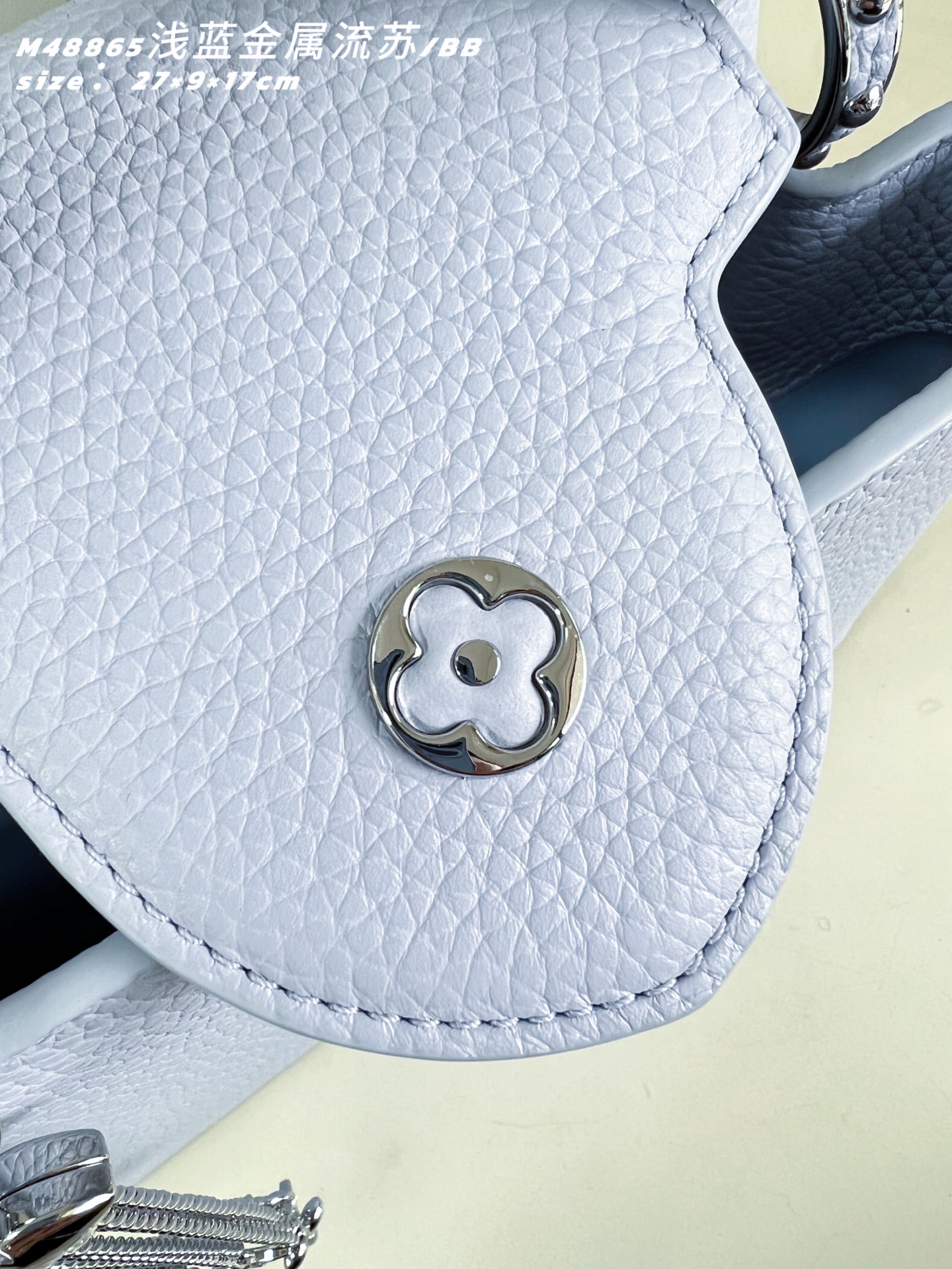 Louis Vuitton Basic Bag Cow Leather M-l-s