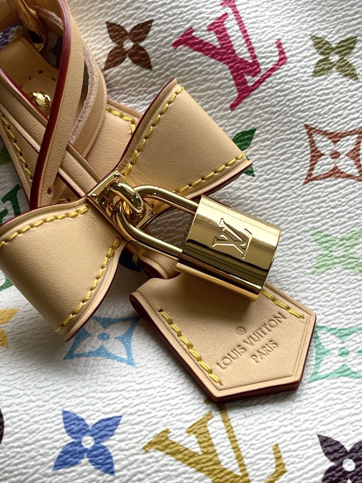 Louis Vuitton Basic Bag Cow Leather M-l-s