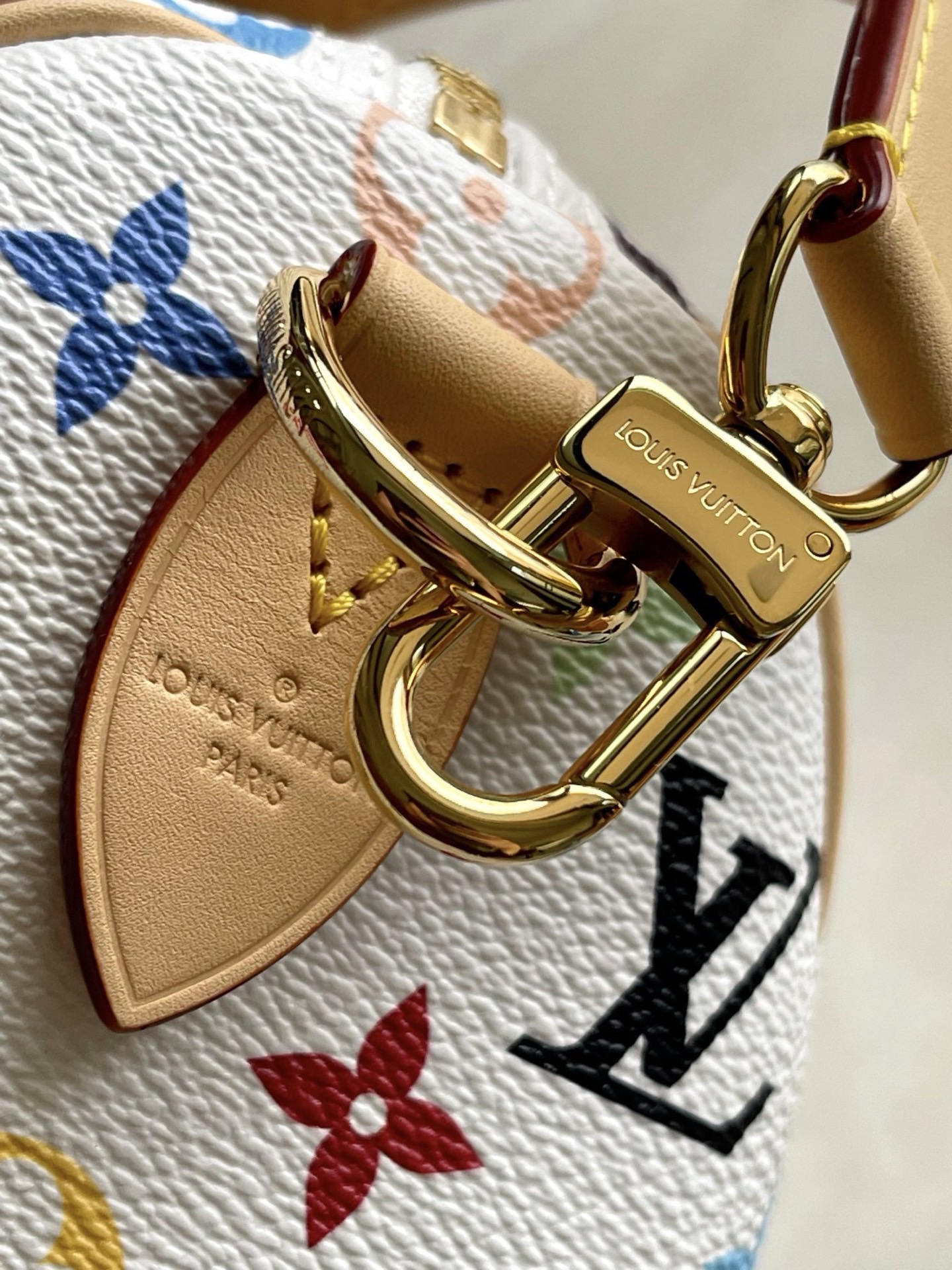 Louis Vuitton Basic Bag Cow Leather M-l-s