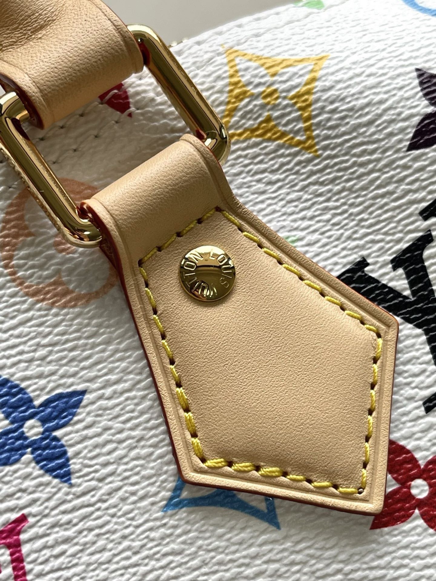 Louis Vuitton Basic Bag Cow Leather M-l-s