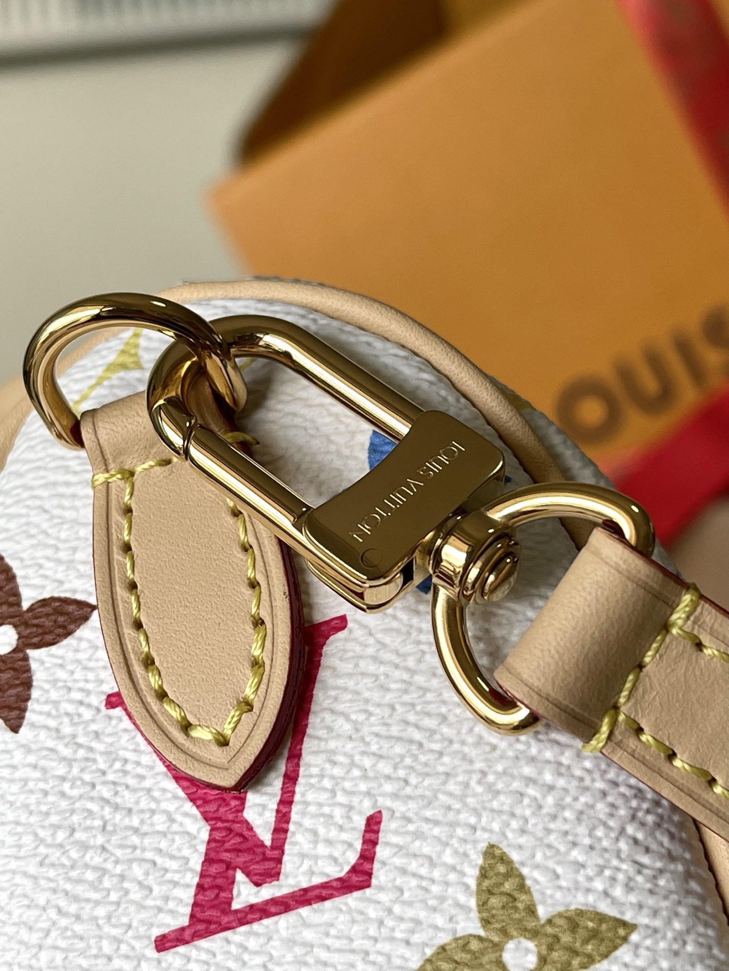 Louis Vuitton Basic Bag Cow Leather M-l-s