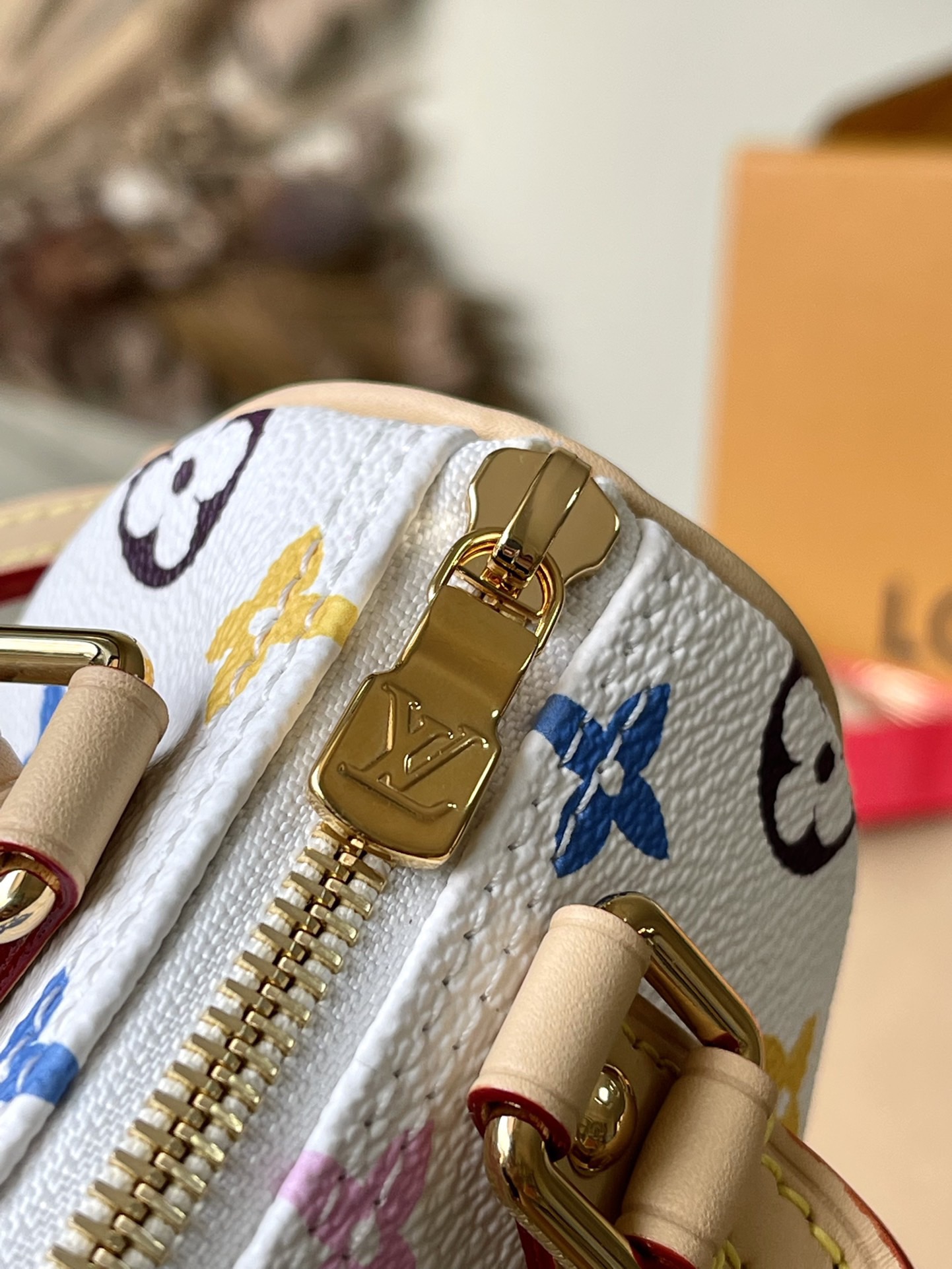 Louis Vuitton Basic Bag Cow Leather M-l-s