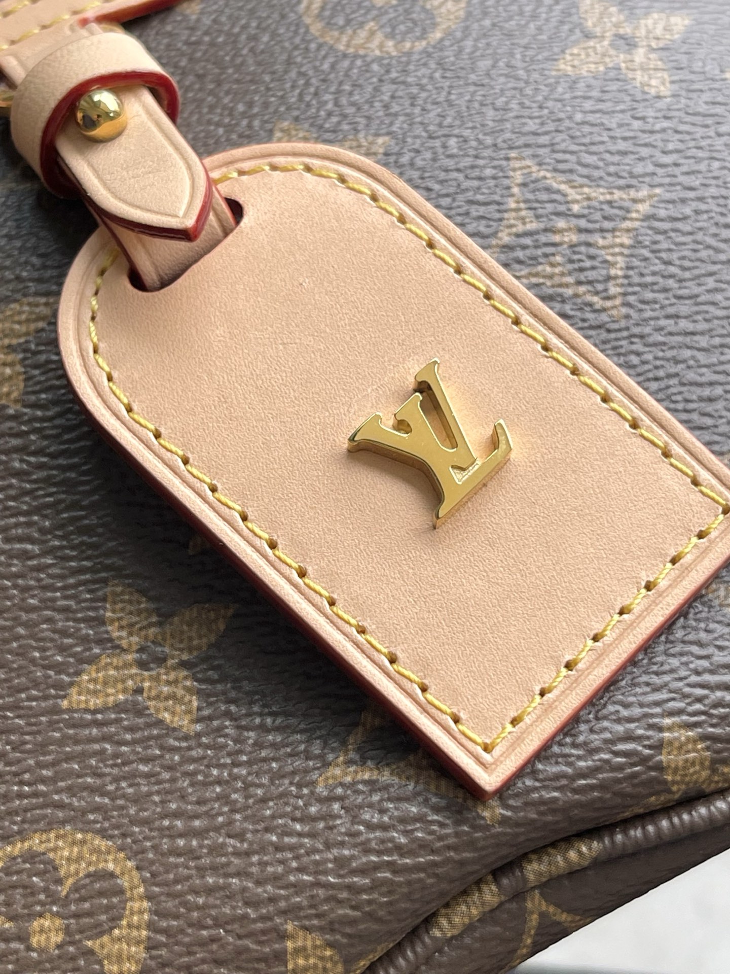 Louis Vuitton Basic Bag Cow Leather M-s