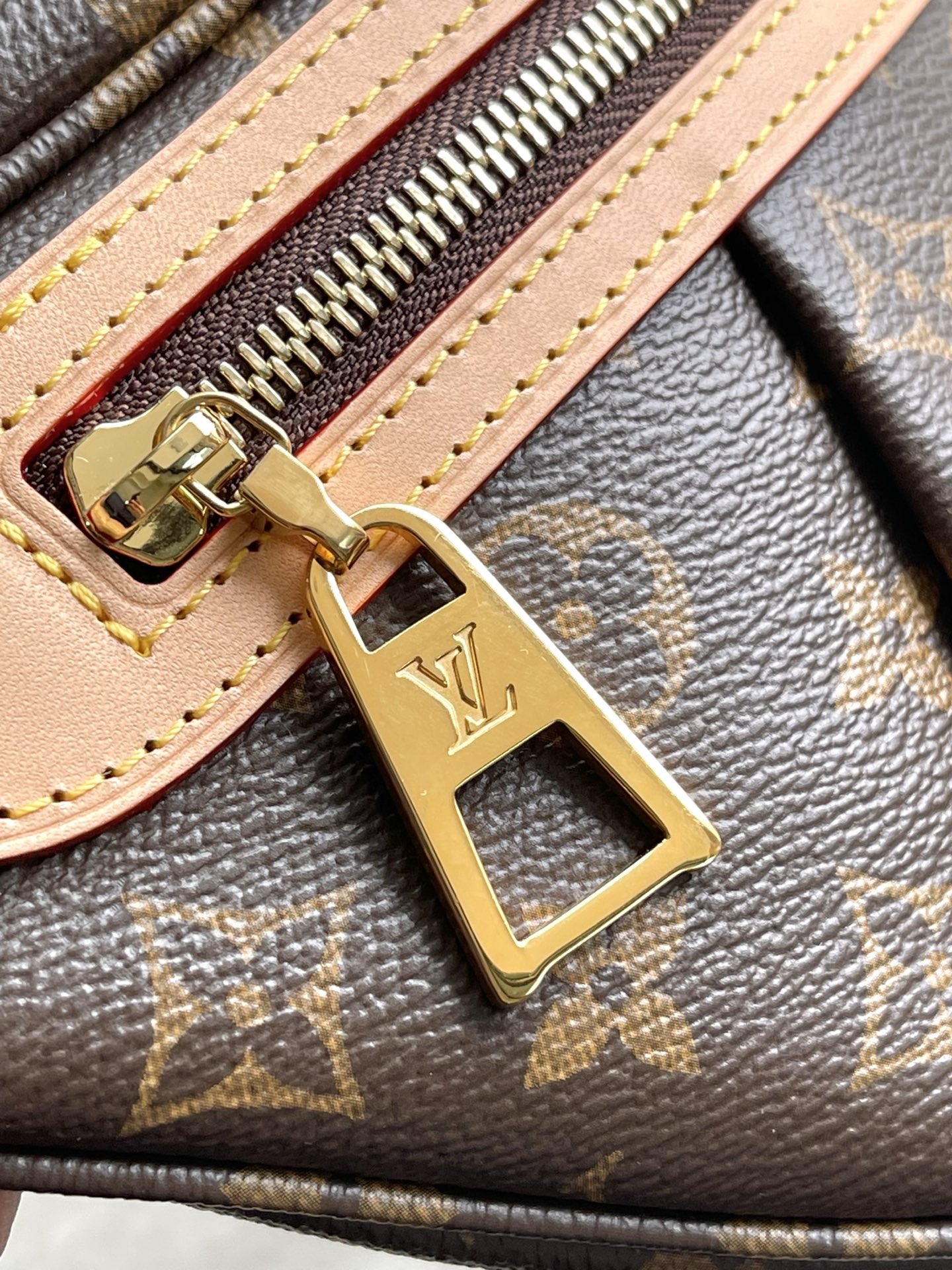 Louis Vuitton Basic Bag Cow Leather M-s