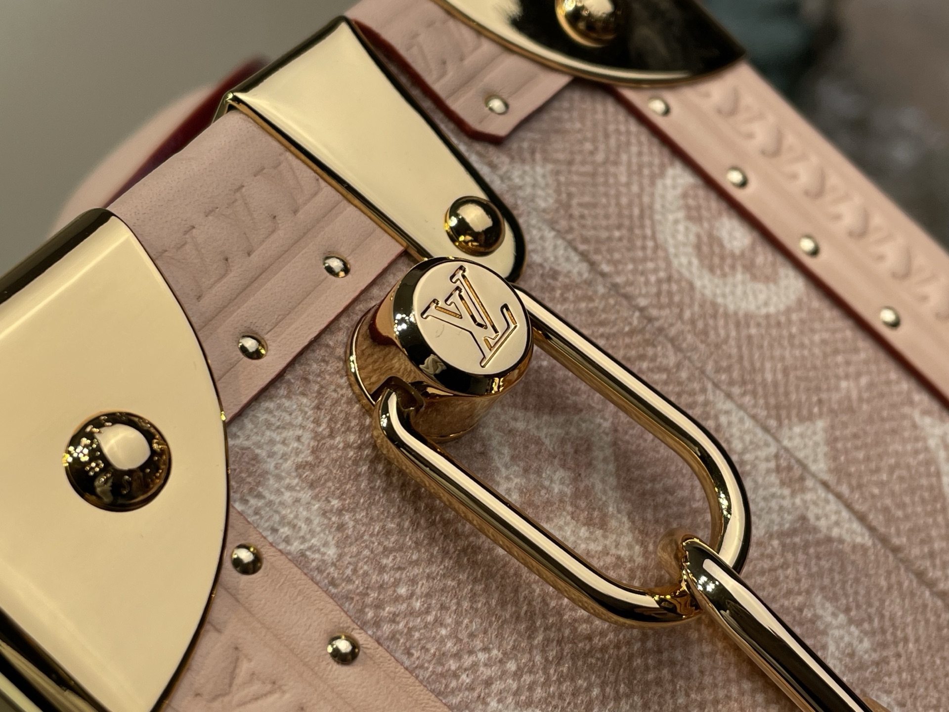 Louis Vuitton Basic Bag Canvas Gold M-l-s