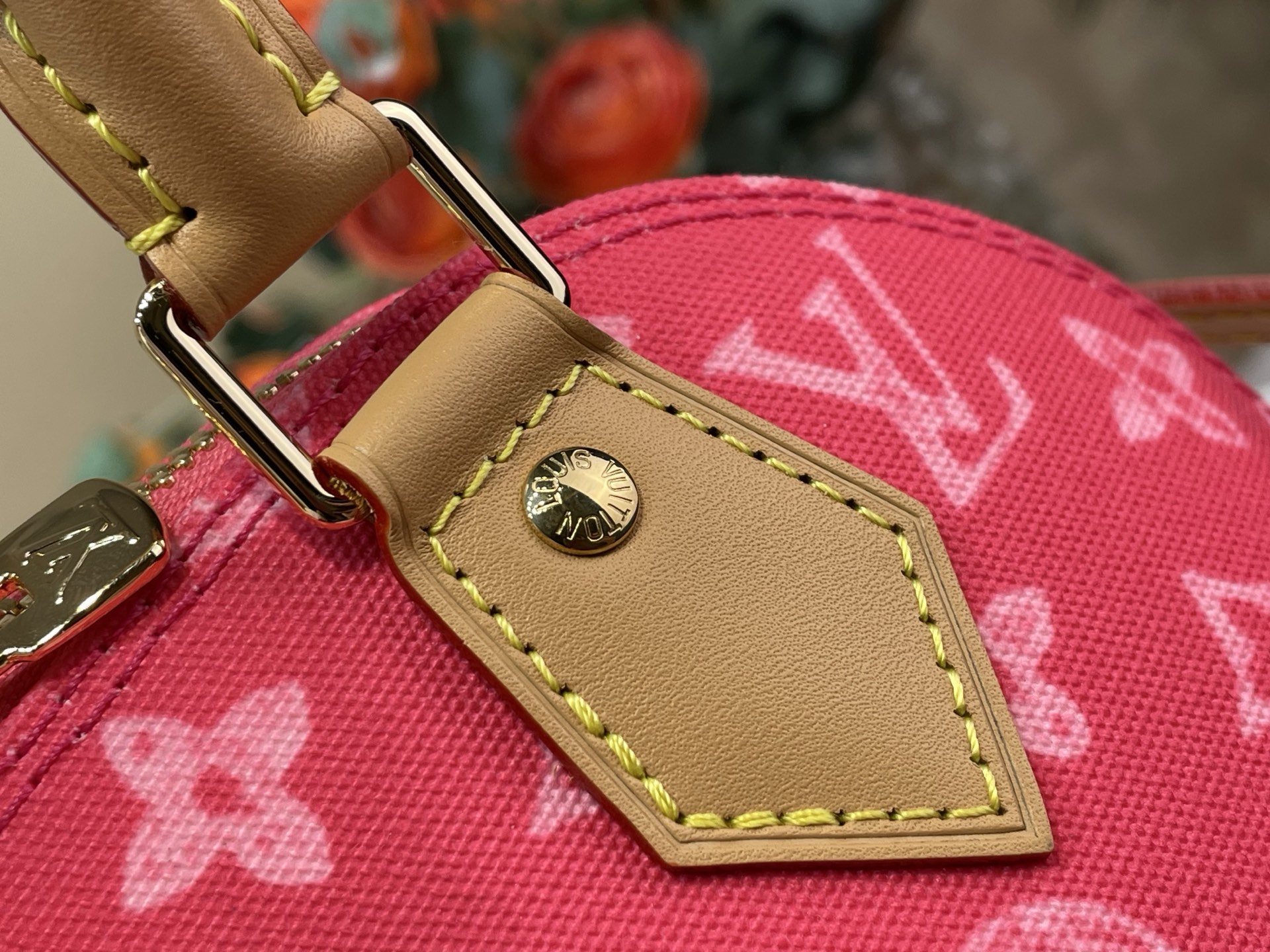 Louis Vuitton Basic Bag Canvas M-l