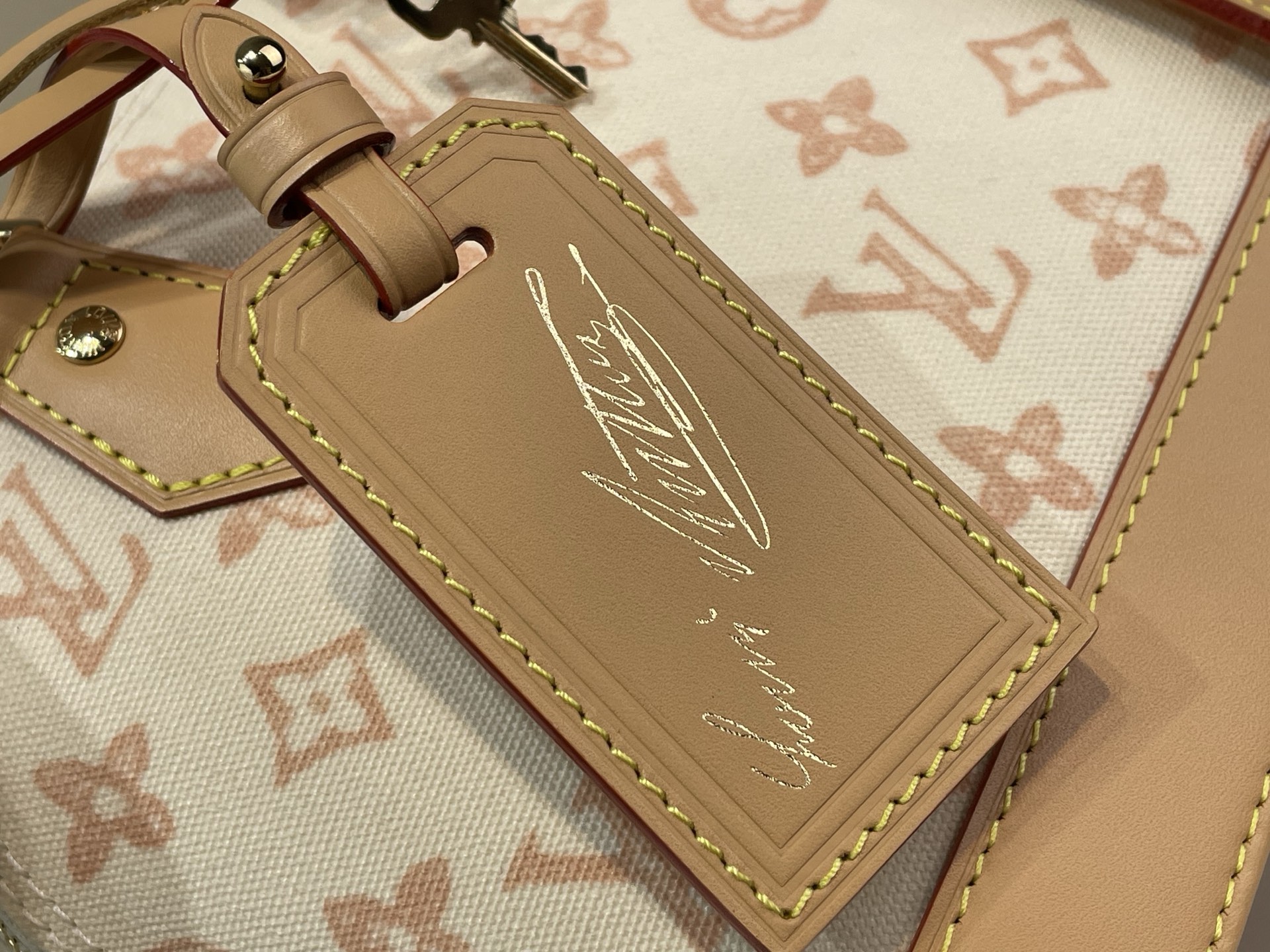 Louis Vuitton Basic Bag Canvas M-l