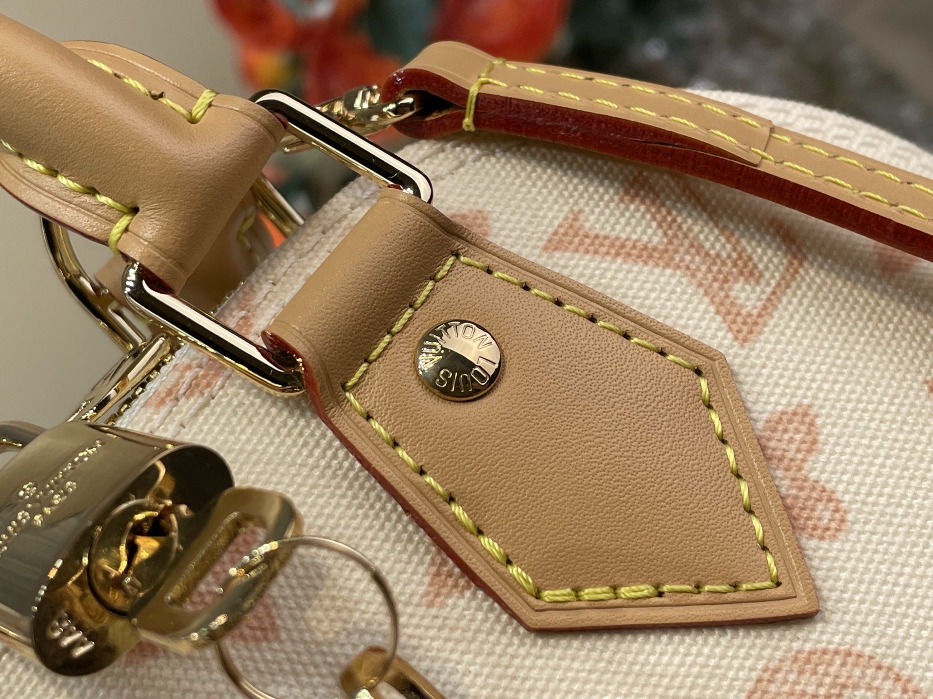 Louis Vuitton Basic Bag Canvas M-l