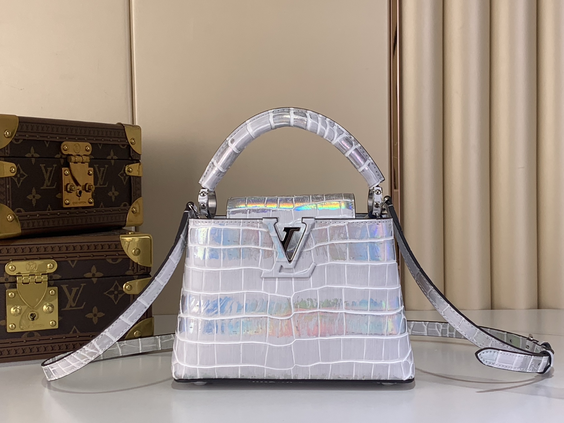 Louis Vuitton Basic Bag Cow Leather M-l-s