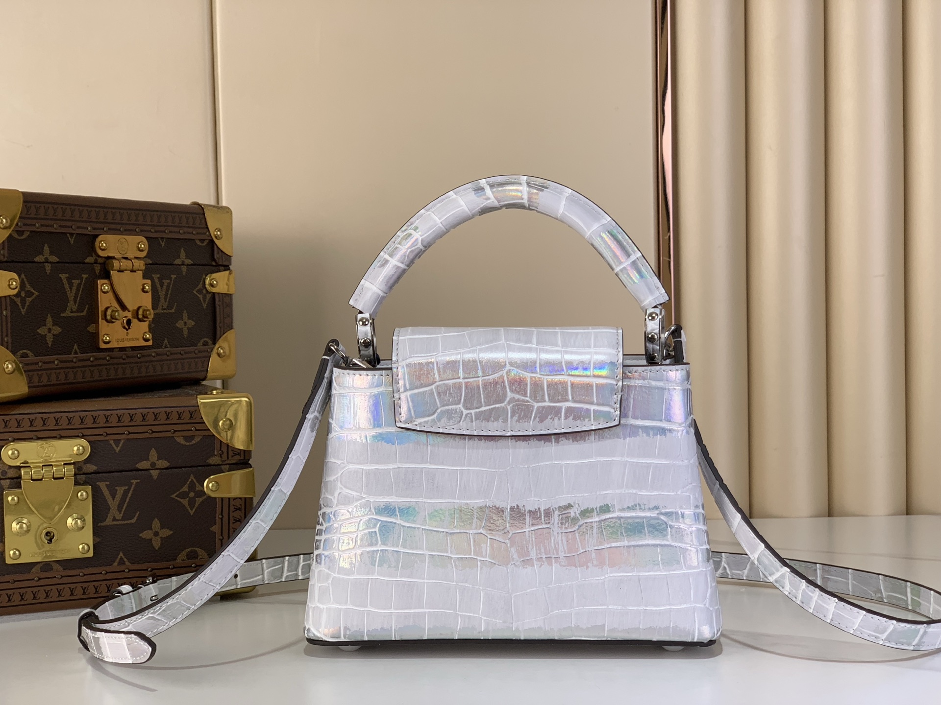 Louis Vuitton Basic Bag Cow Leather M-l-s