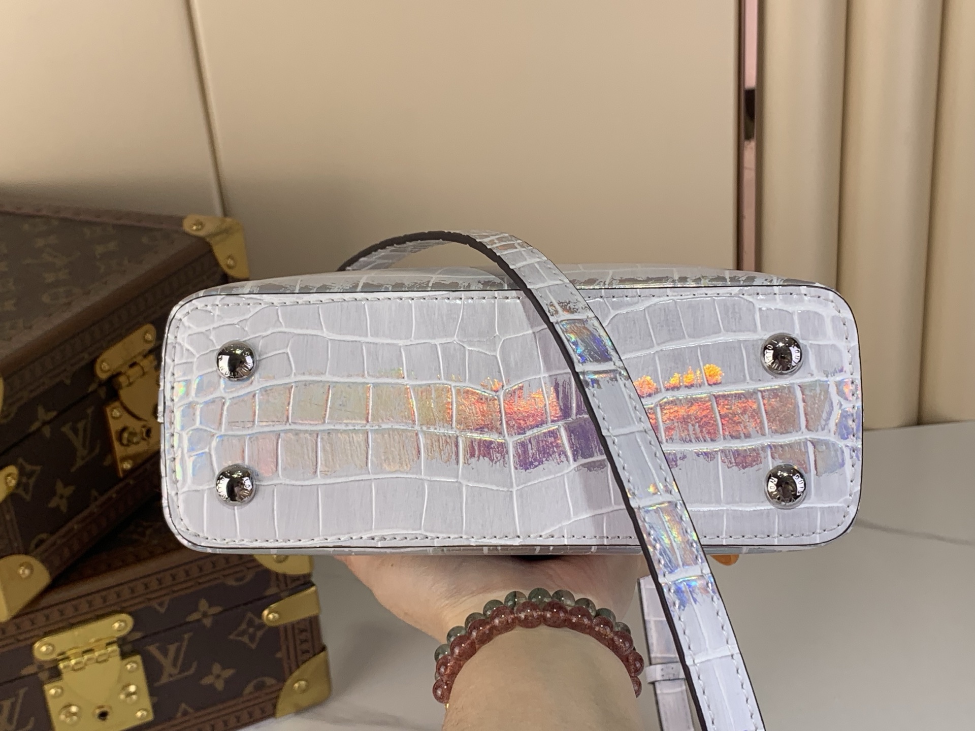 Louis Vuitton Basic Bag Cow Leather M-l-s