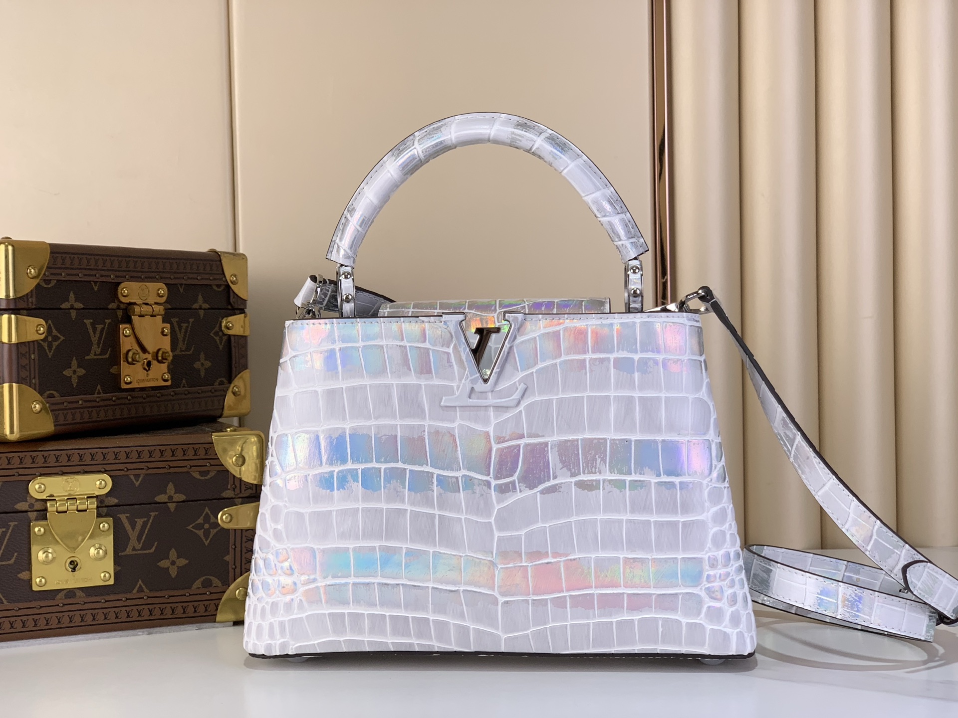 Louis Vuitton Basic Bag Cow Leather M-l-s