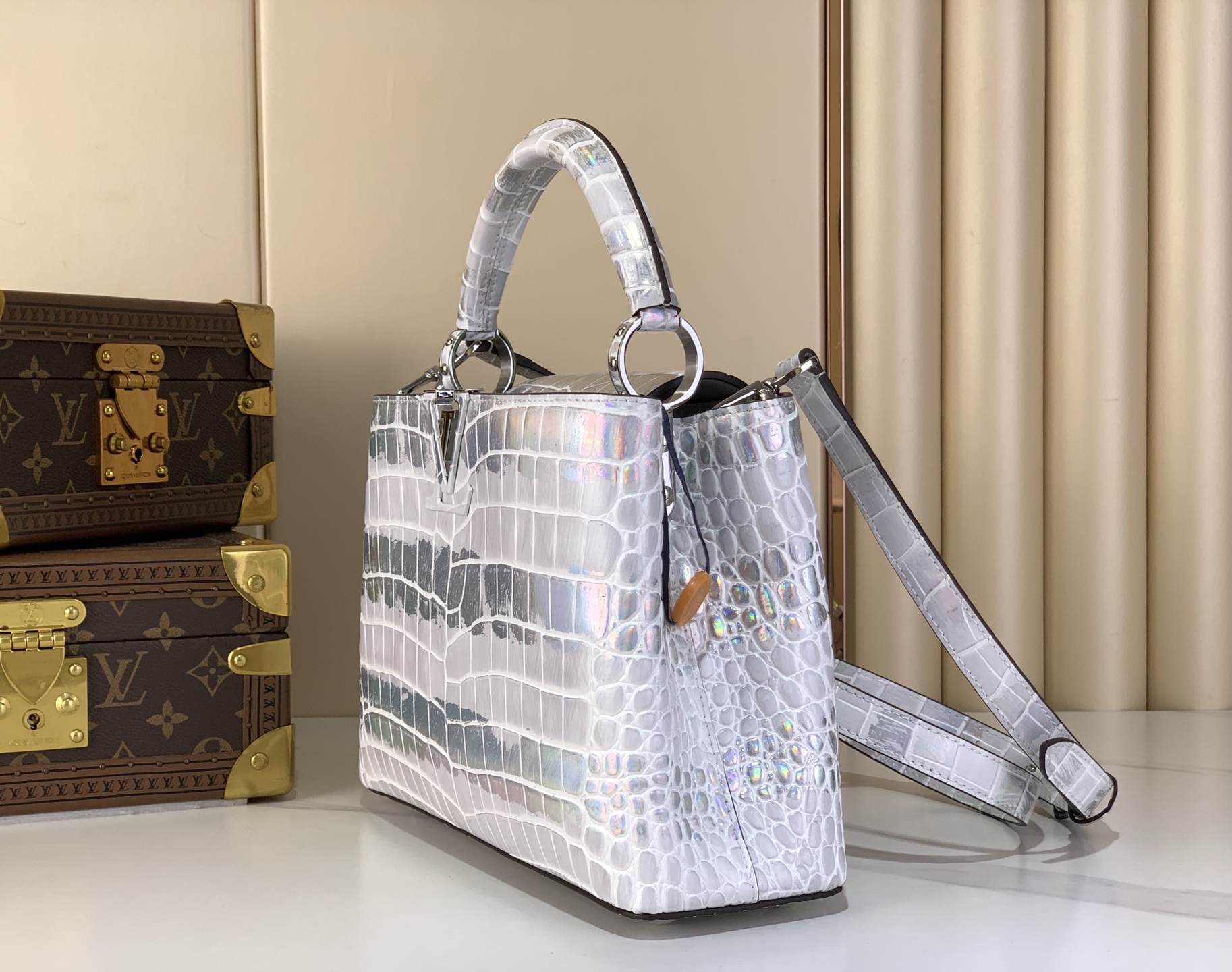 Louis Vuitton Basic Bag Cow Leather M-l-s