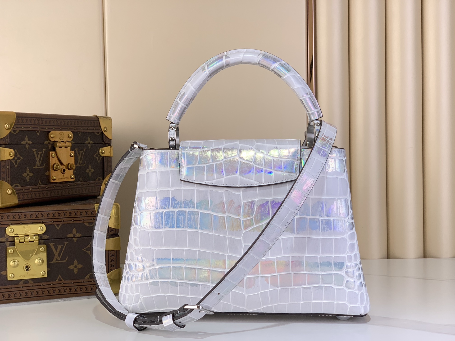 Louis Vuitton Basic Bag Cow Leather M-l-s