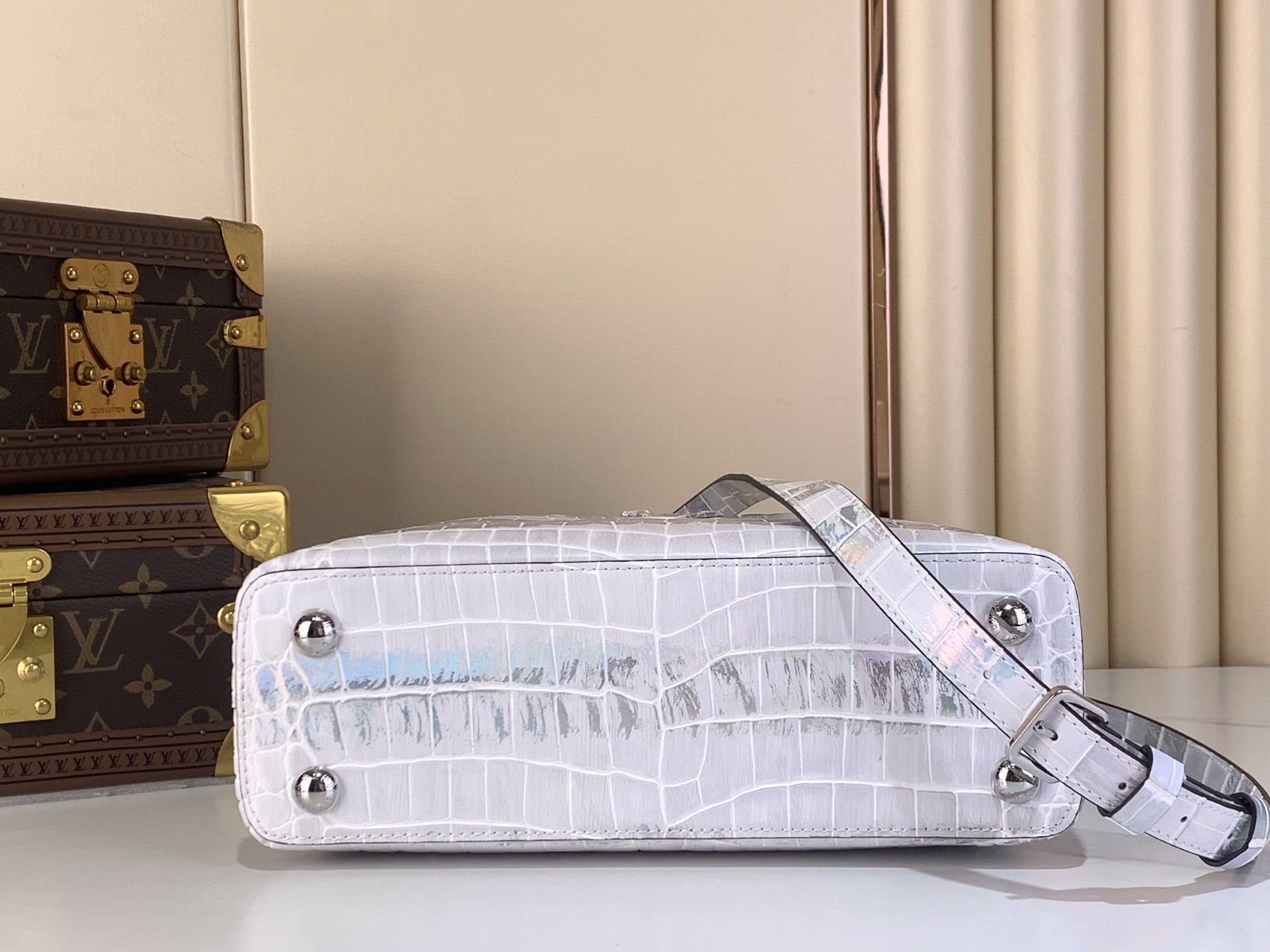 Louis Vuitton Basic Bag Cow Leather M-l-s