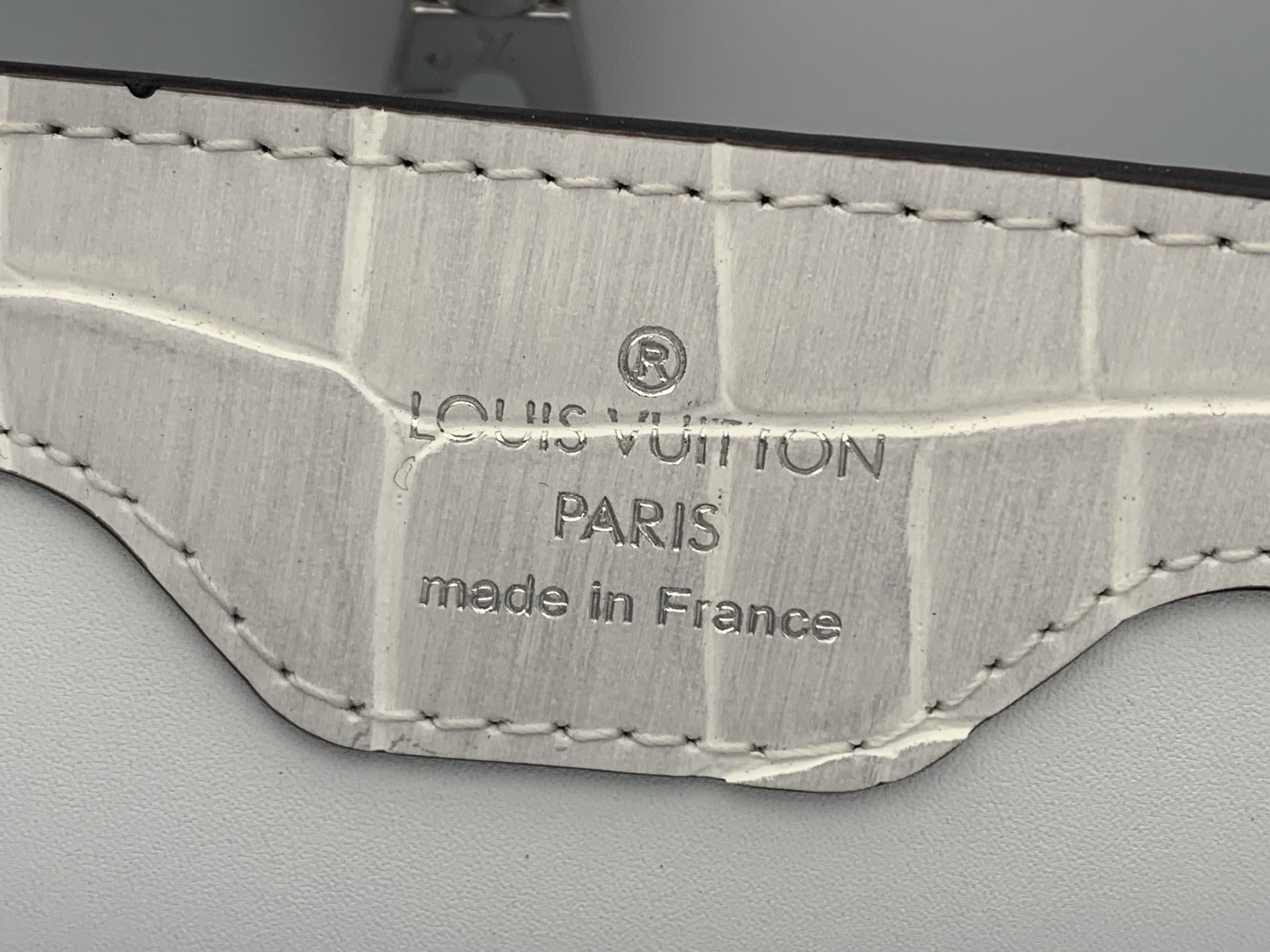 Louis Vuitton Basic Bag Cow Leather M-l-s