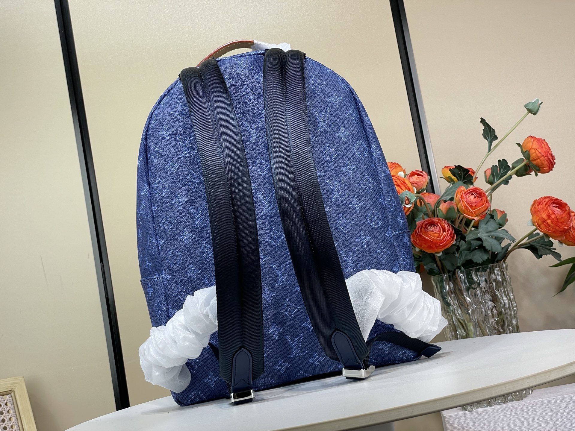 Louis Vuitton Backpack Canvas M-s