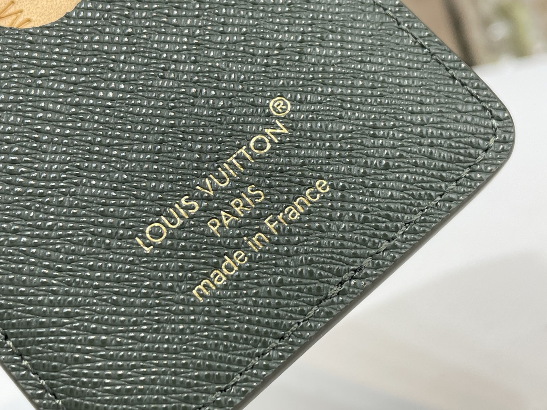 Louis Vuitton Basic Bag Cow Leather Green M-l-s