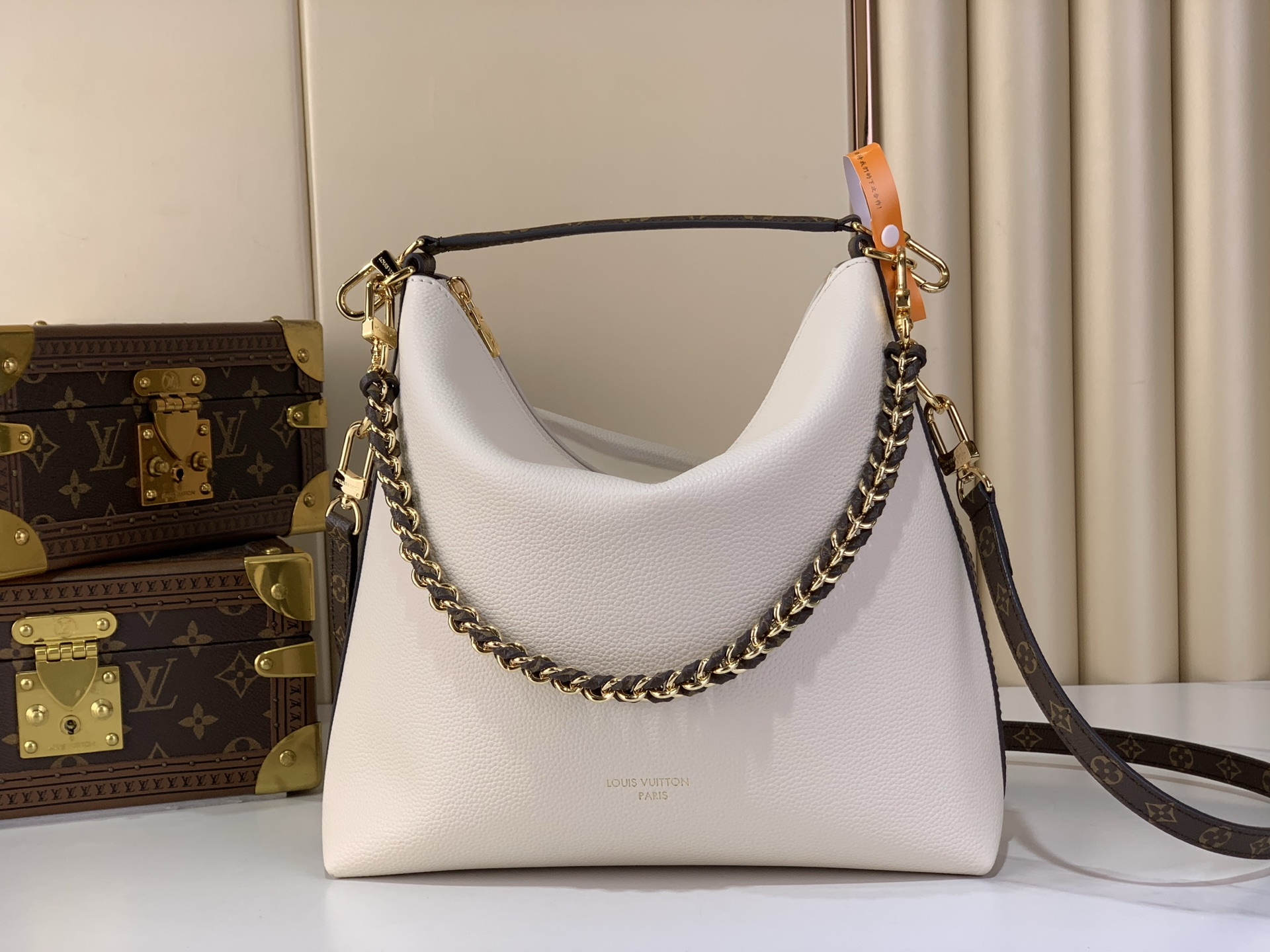 Louis Vuitton Basic Bag Canvas M-l-s