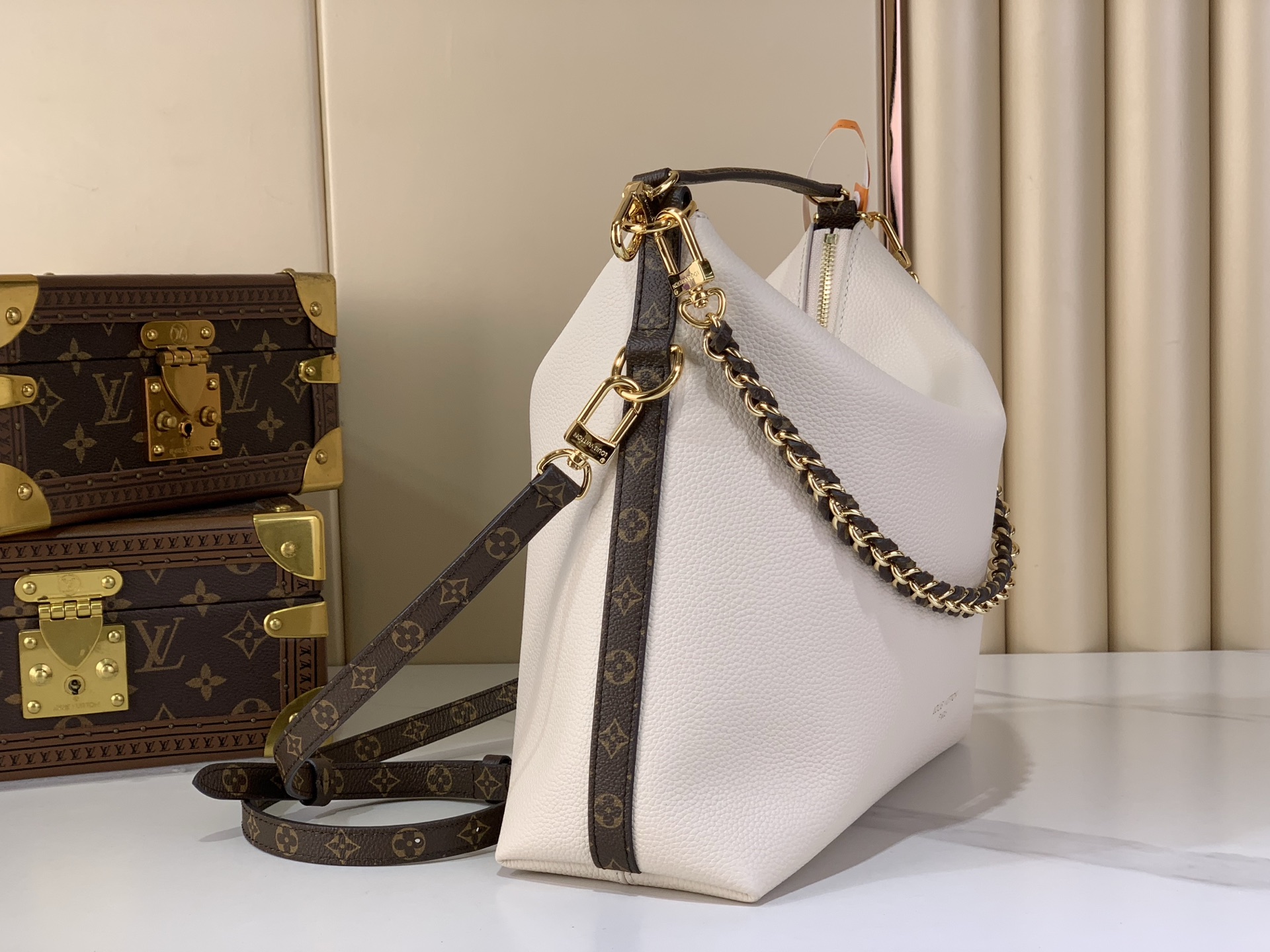 Louis Vuitton Basic Bag Canvas M-l-s