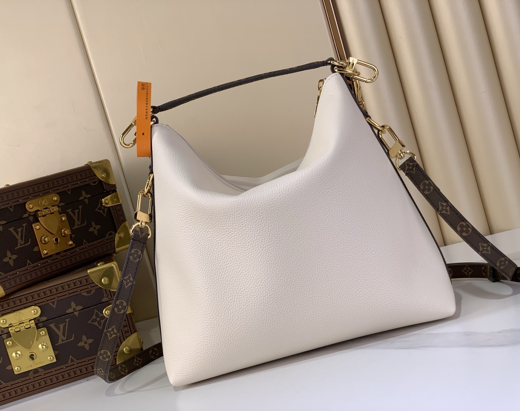 Louis Vuitton Basic Bag Canvas M-l-s