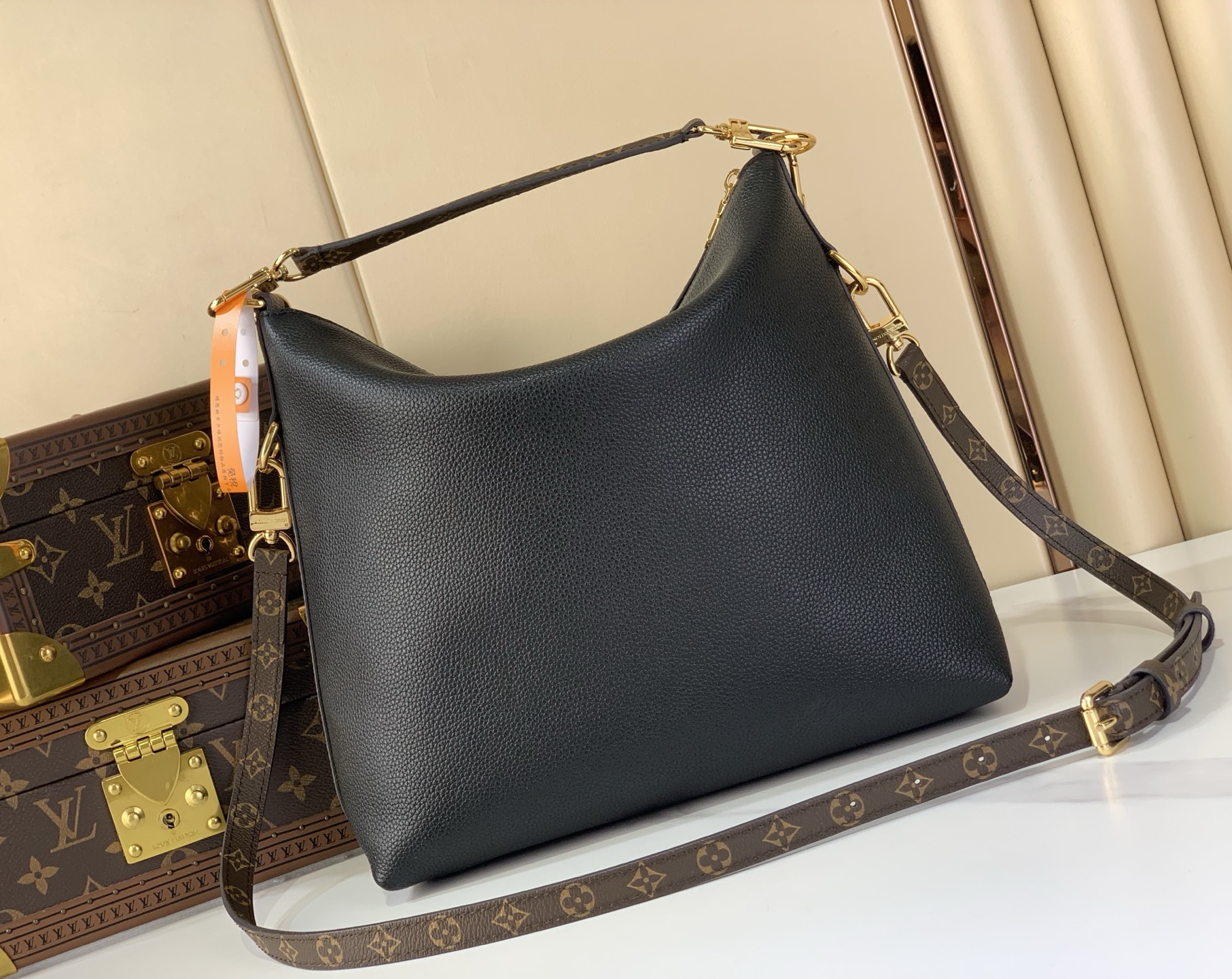 Louis Vuitton Basic Bag Canvas Black M-l-s