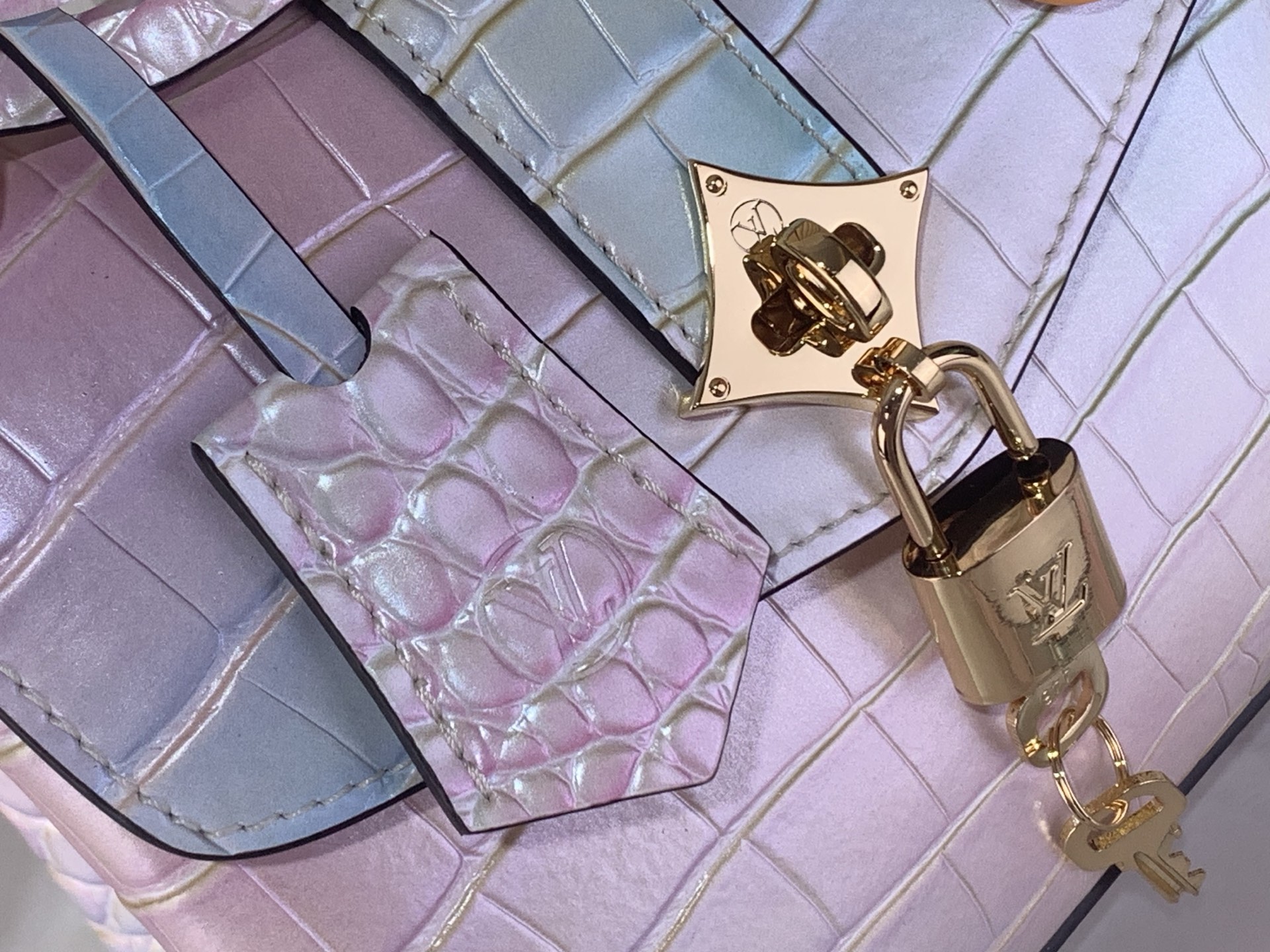 Louis Vuitton Basic Bag M-s