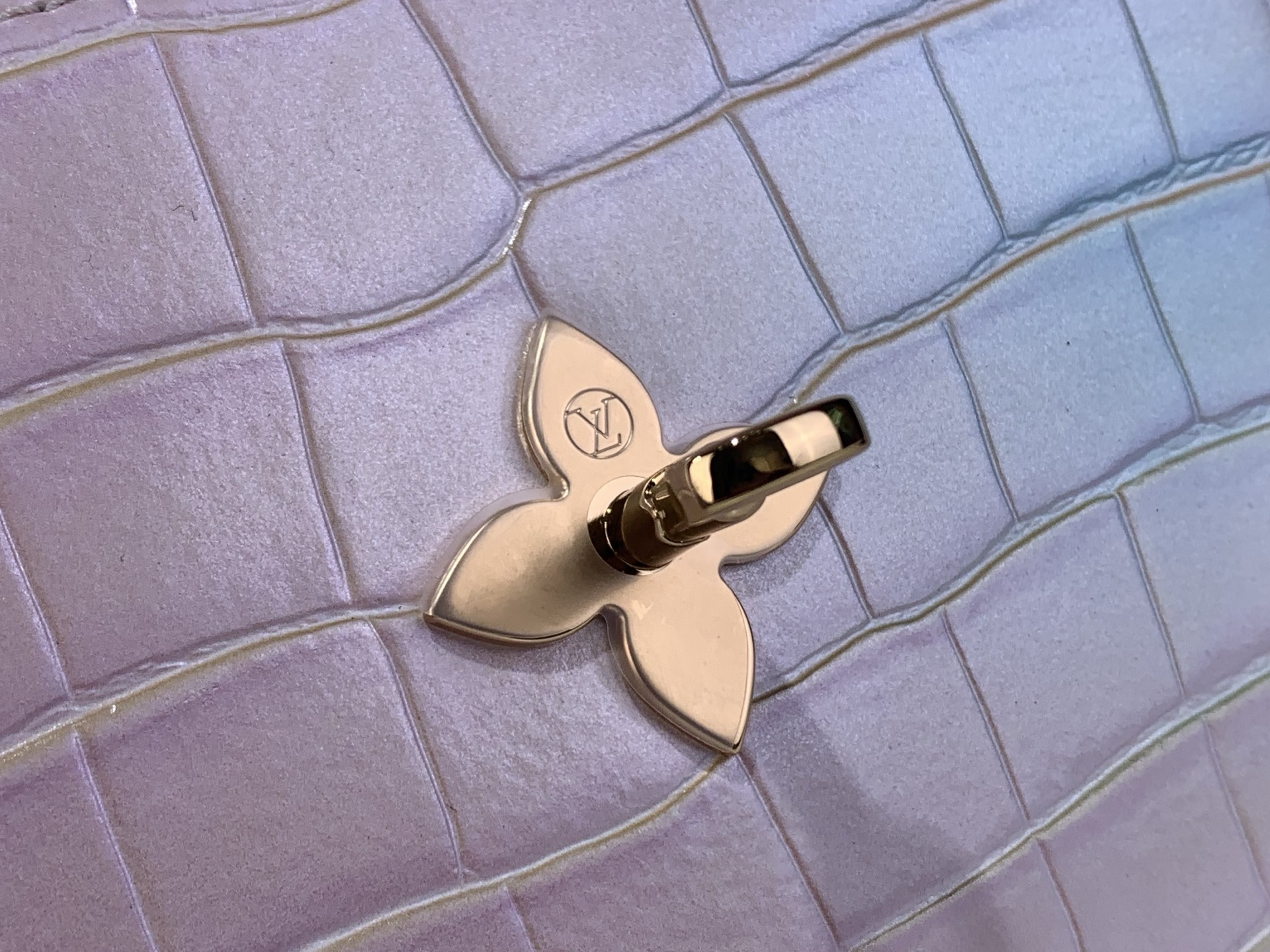 Louis Vuitton Basic Bag M-s