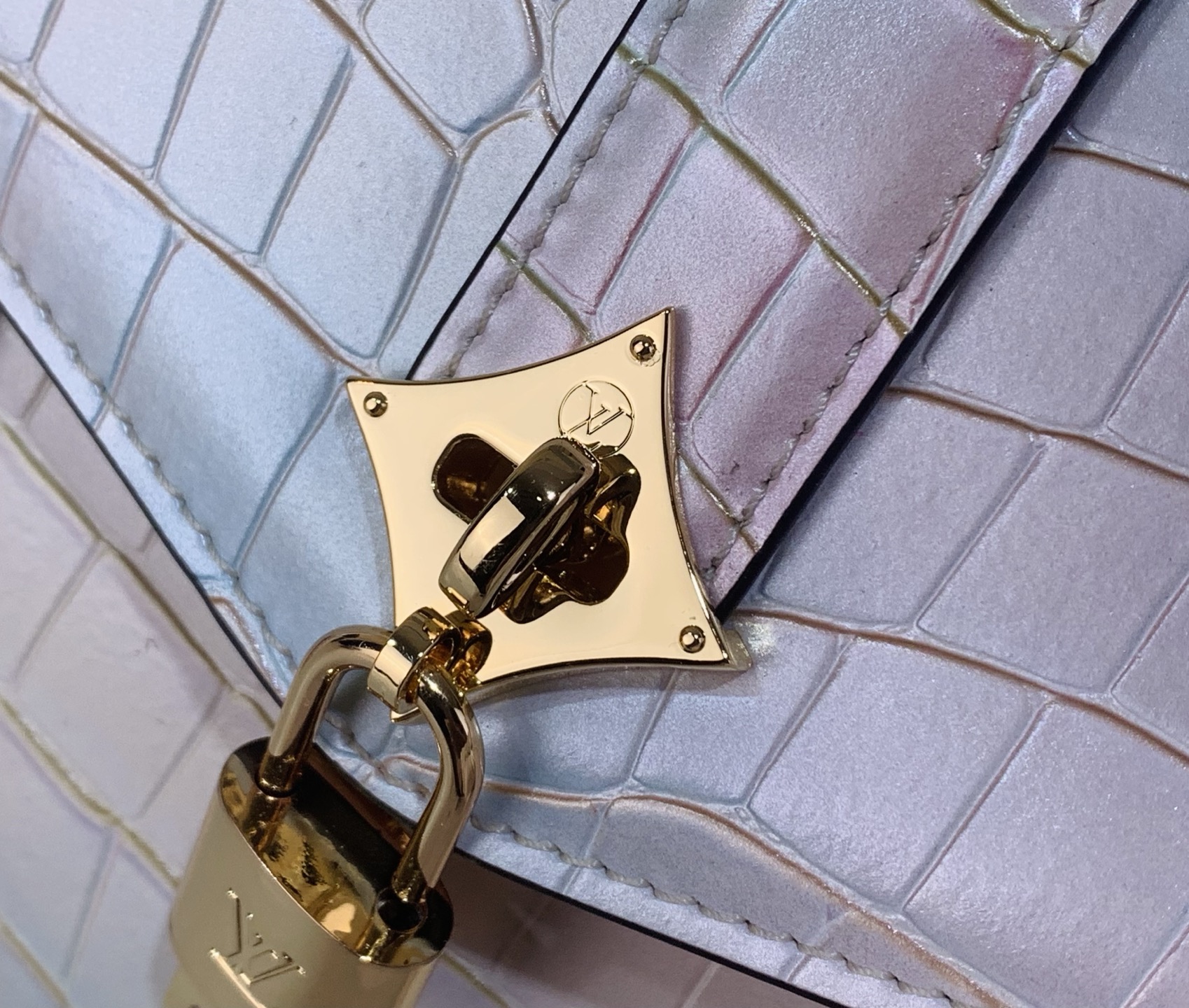 Louis Vuitton Basic Bag M-s